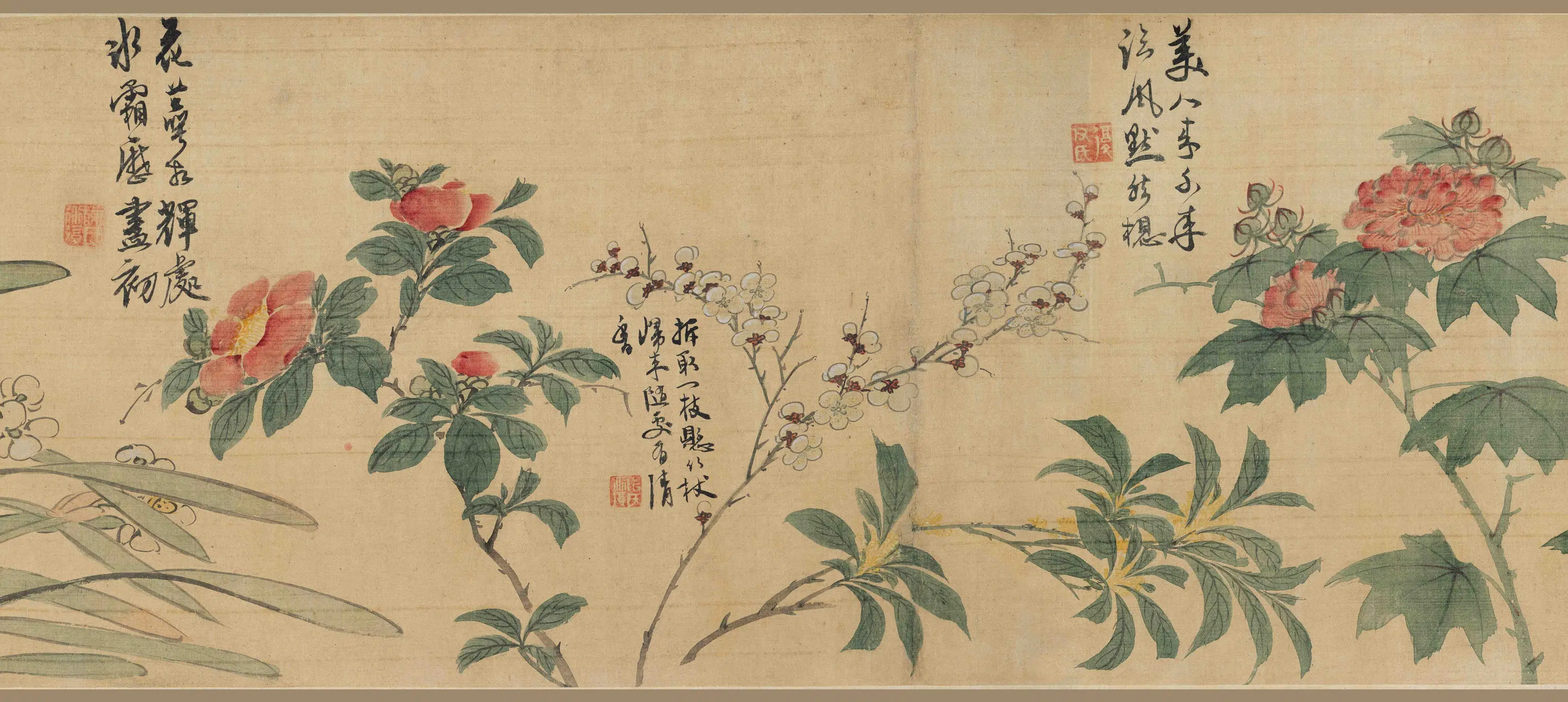 明朝【陈淳(道复)】《花卉图卷-3》 第2张 明朝【陈淳(道复)】《花卉图卷-3》 第2张