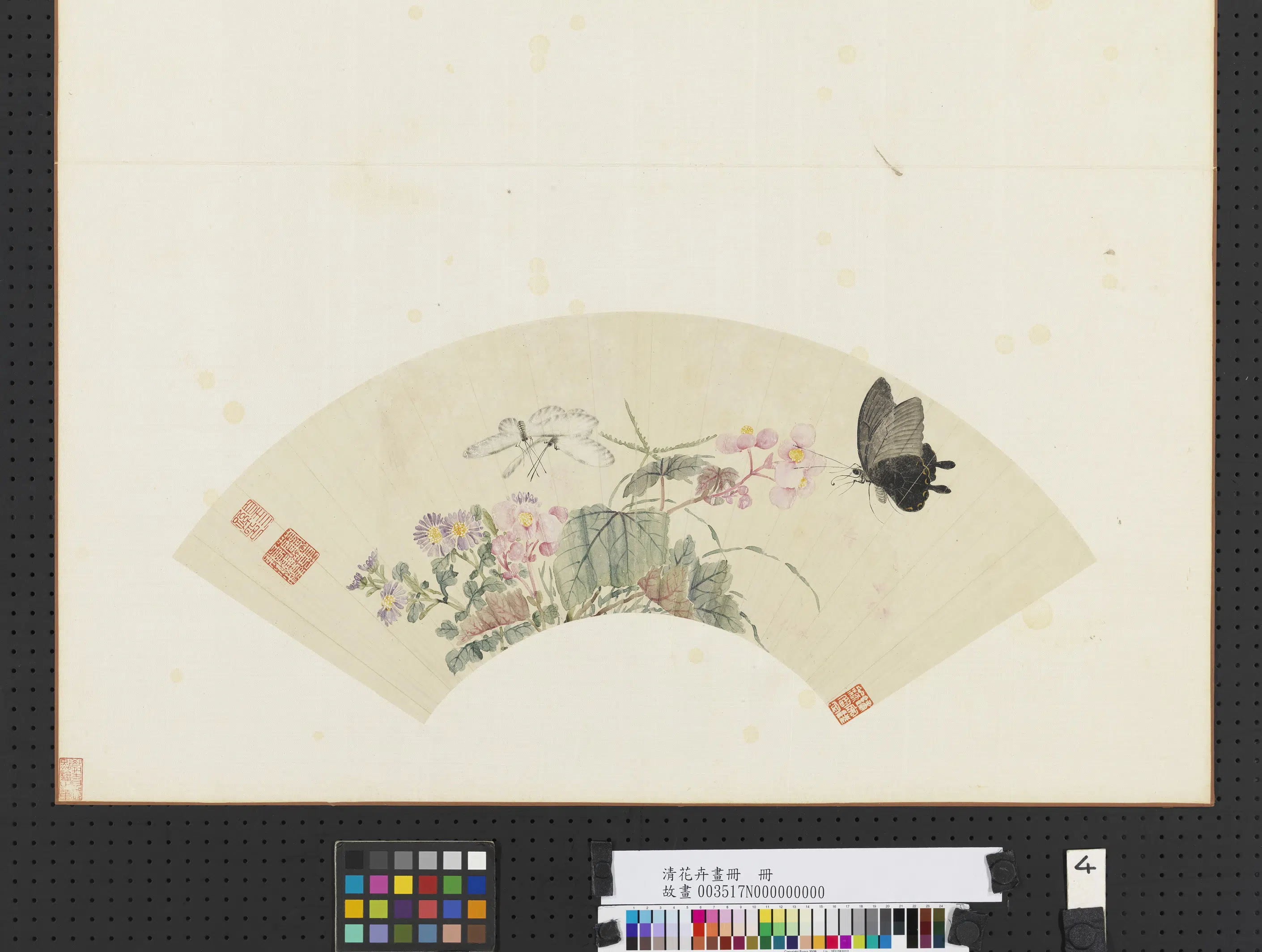 《花卉画册-3》 第12张