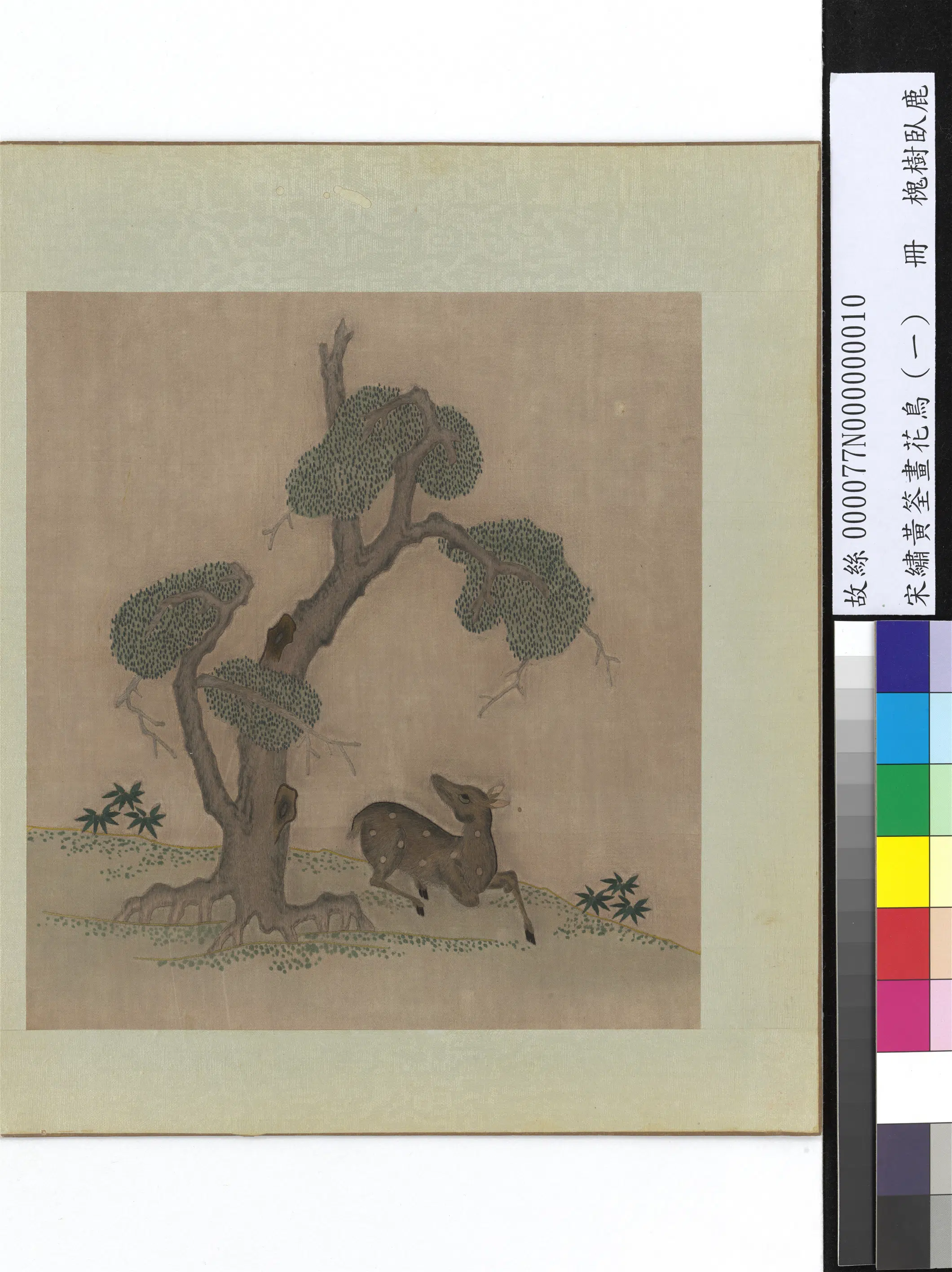 五代十国前后蜀【黄筌（荃）】《绣黄筌画花鸟（一）册-槐树卧鹿》 第1张