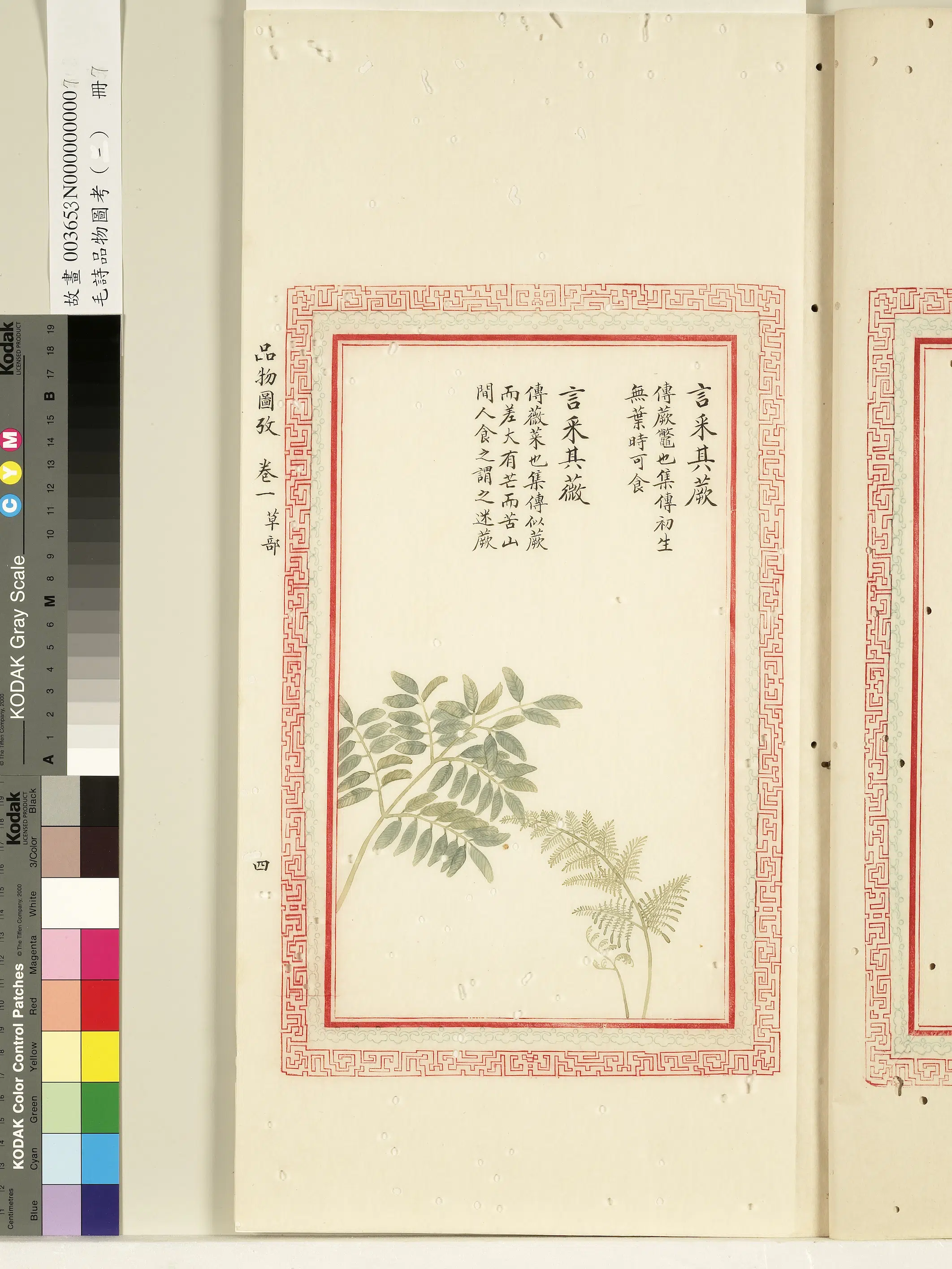 清朝【佚名】《毛诗品物图考(一)册-言采其蕨言采其薇-1》 第1张 清朝【佚名】《毛诗品物图考(一)册-言采其蕨言采其薇-1》 第1张