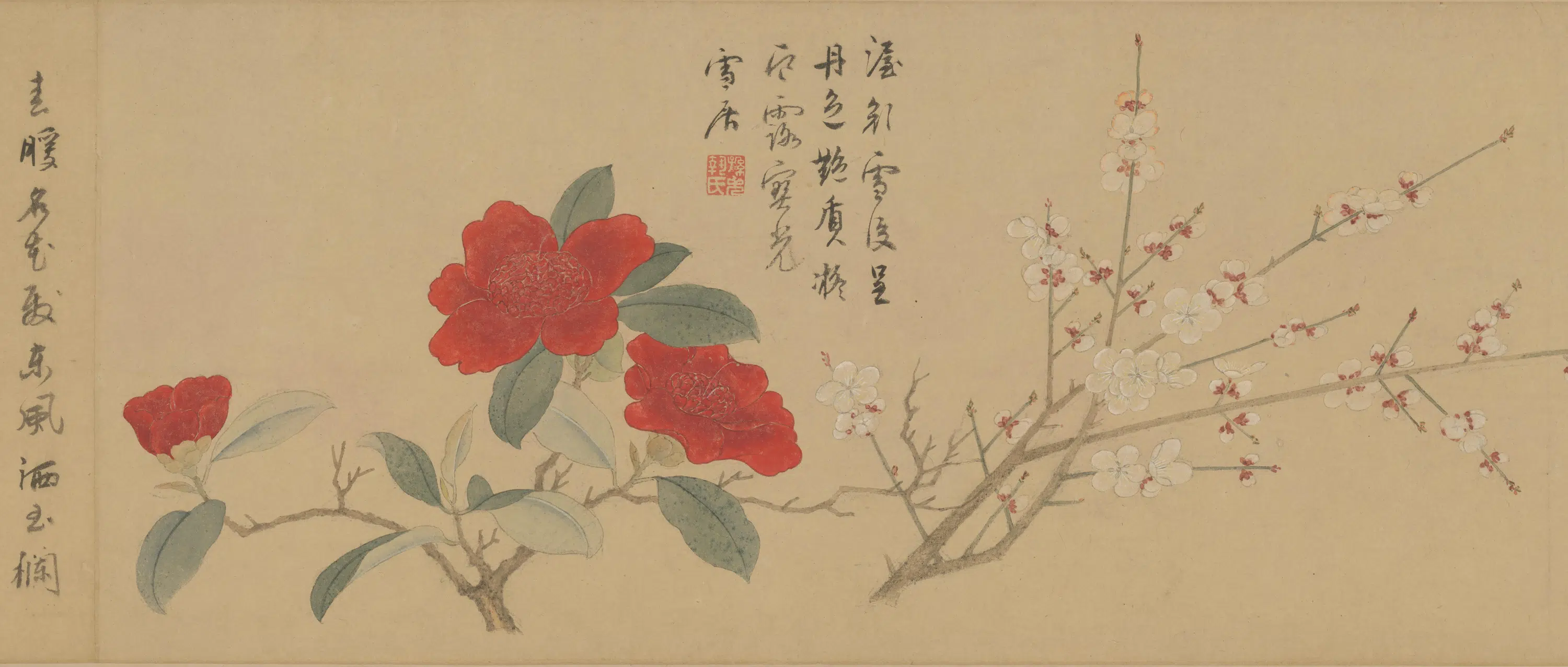 明朝【孙克弘】《百花图卷》 第10张