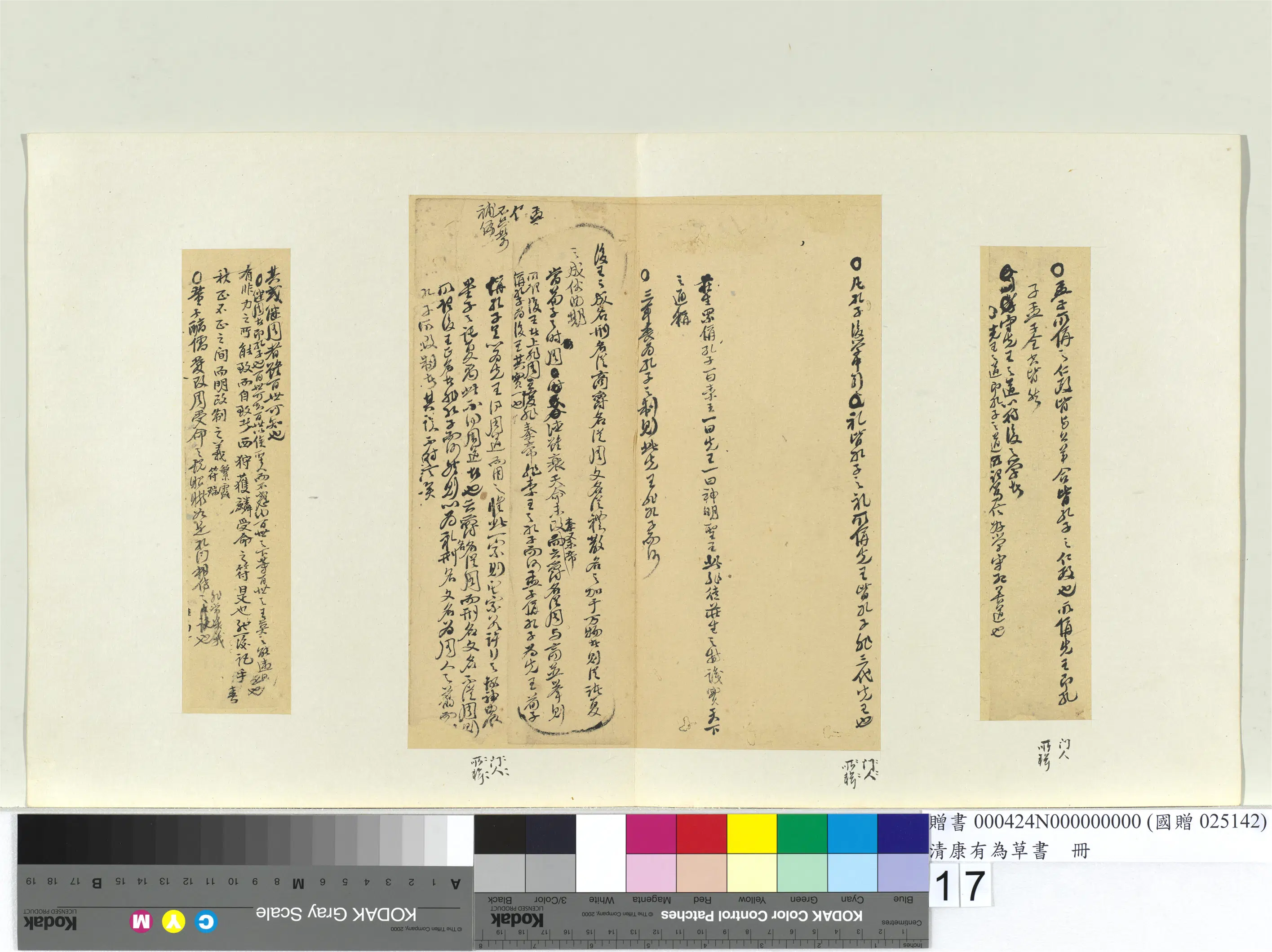 清代【康有为】《草书册》 第9张