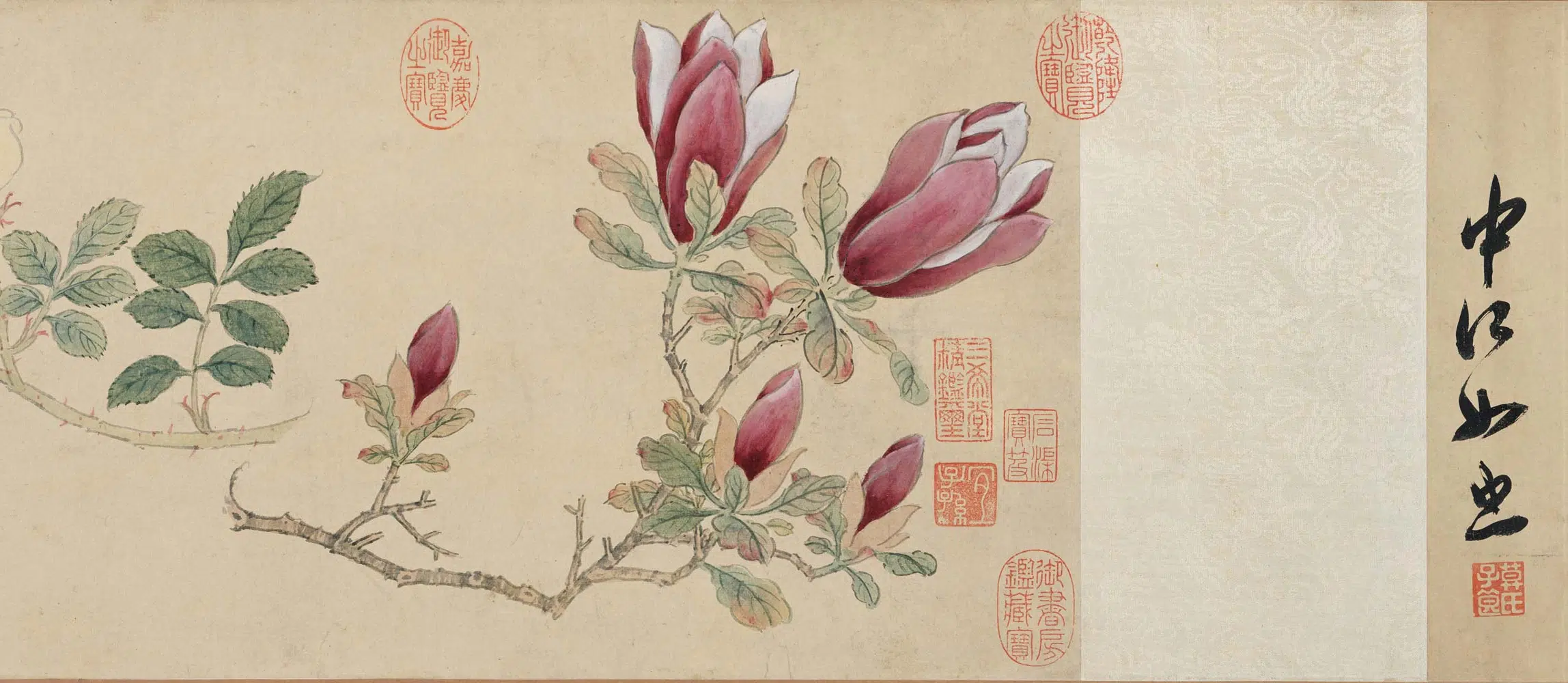 明朝【孙克弘】《设色花卉卷》 第8张 明朝【孙克弘】《设色花卉卷》 第8张