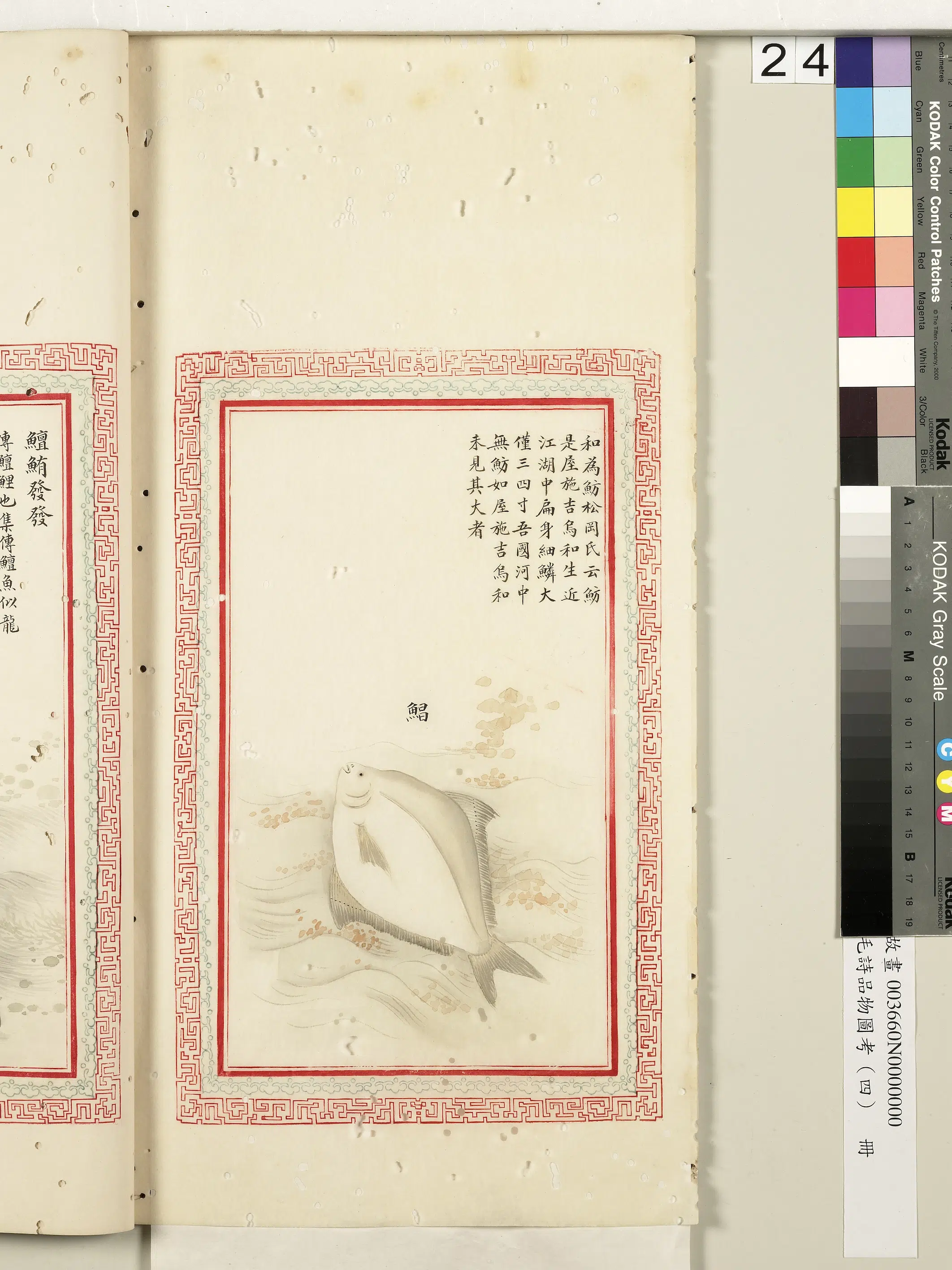 清代《毛诗品物图考(四)册-2》 第33张 清代《毛诗品物图考(四)册-2》 第33张
