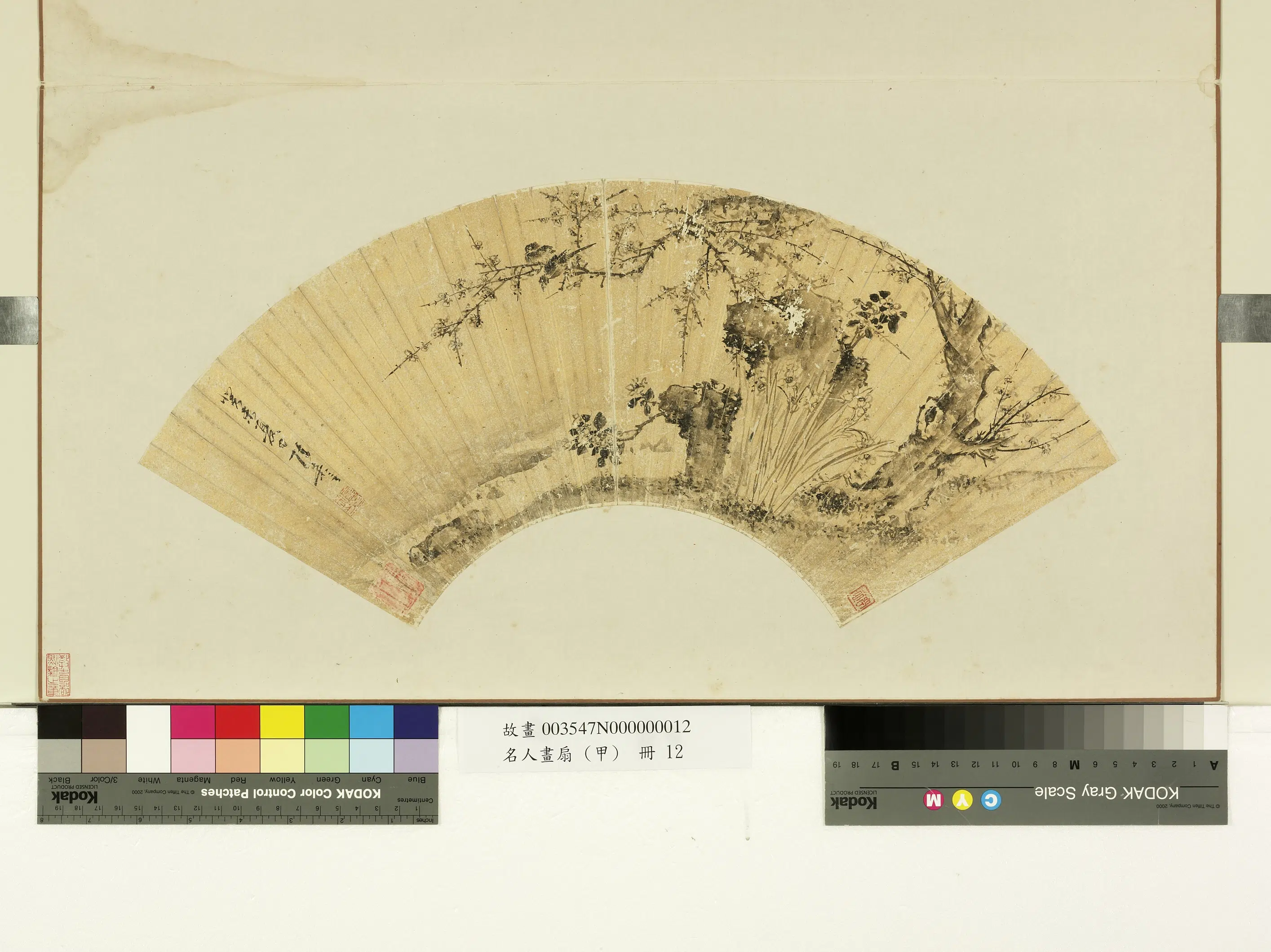 明朝【陈嘉言】《名人画扇(甲)册-明陈嘉言画花鸟》