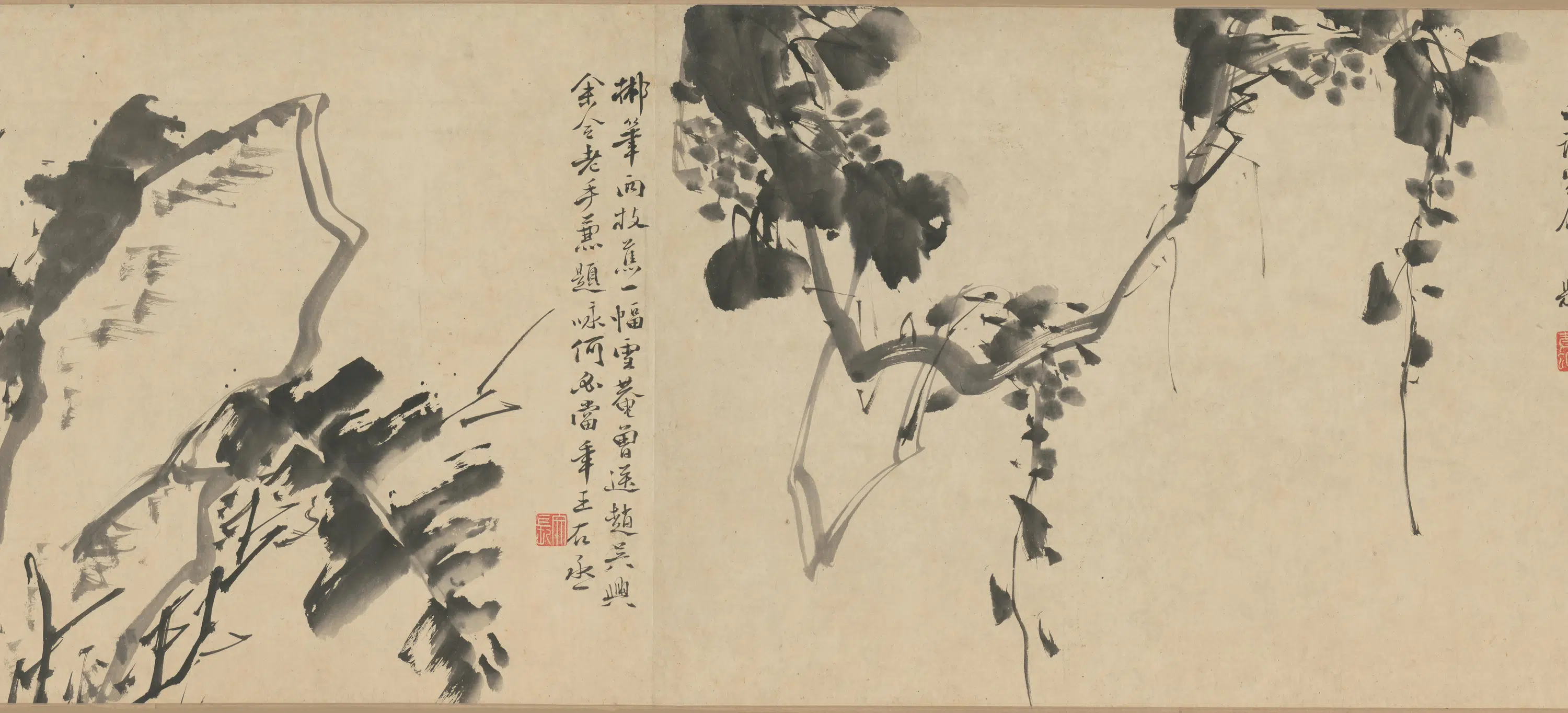 明朝【徐渭】《墨花九段图卷》 第3张