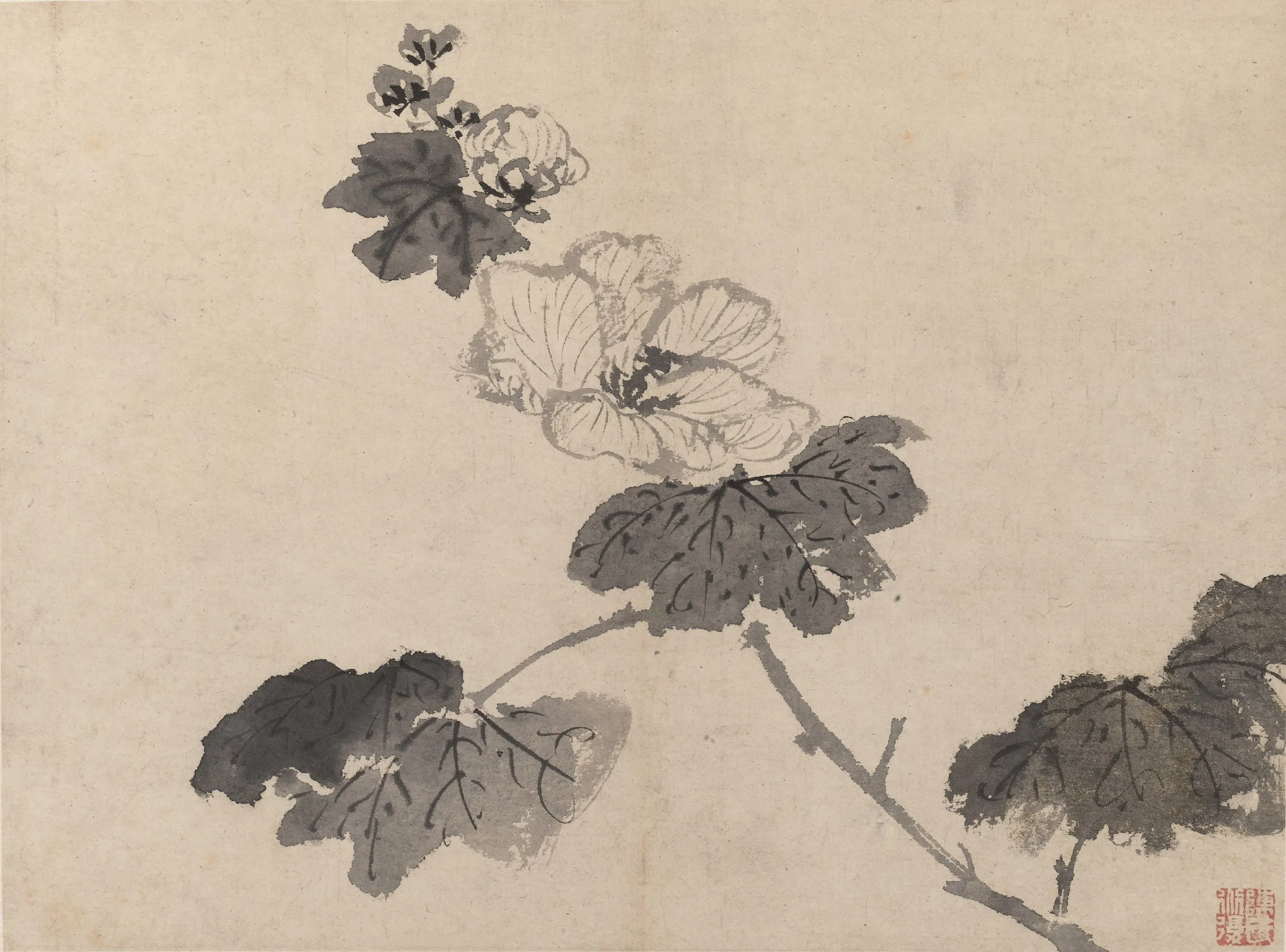 明朝【陈淳（道复）】《墨花图册》 第8张