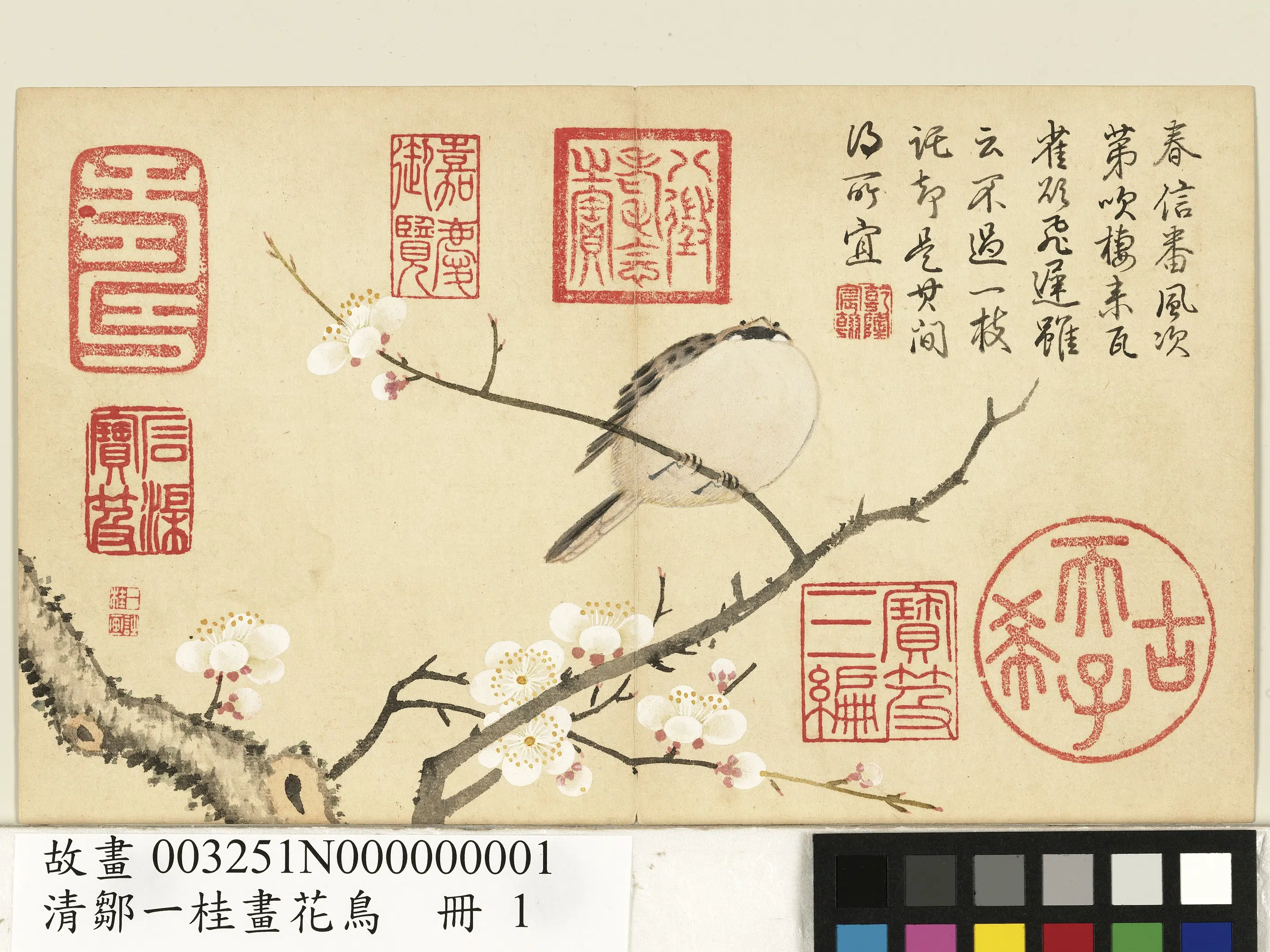 清代【邹一桂】《画花鸟册》 第3张 清代【邹一桂】《画花鸟册》 第3张