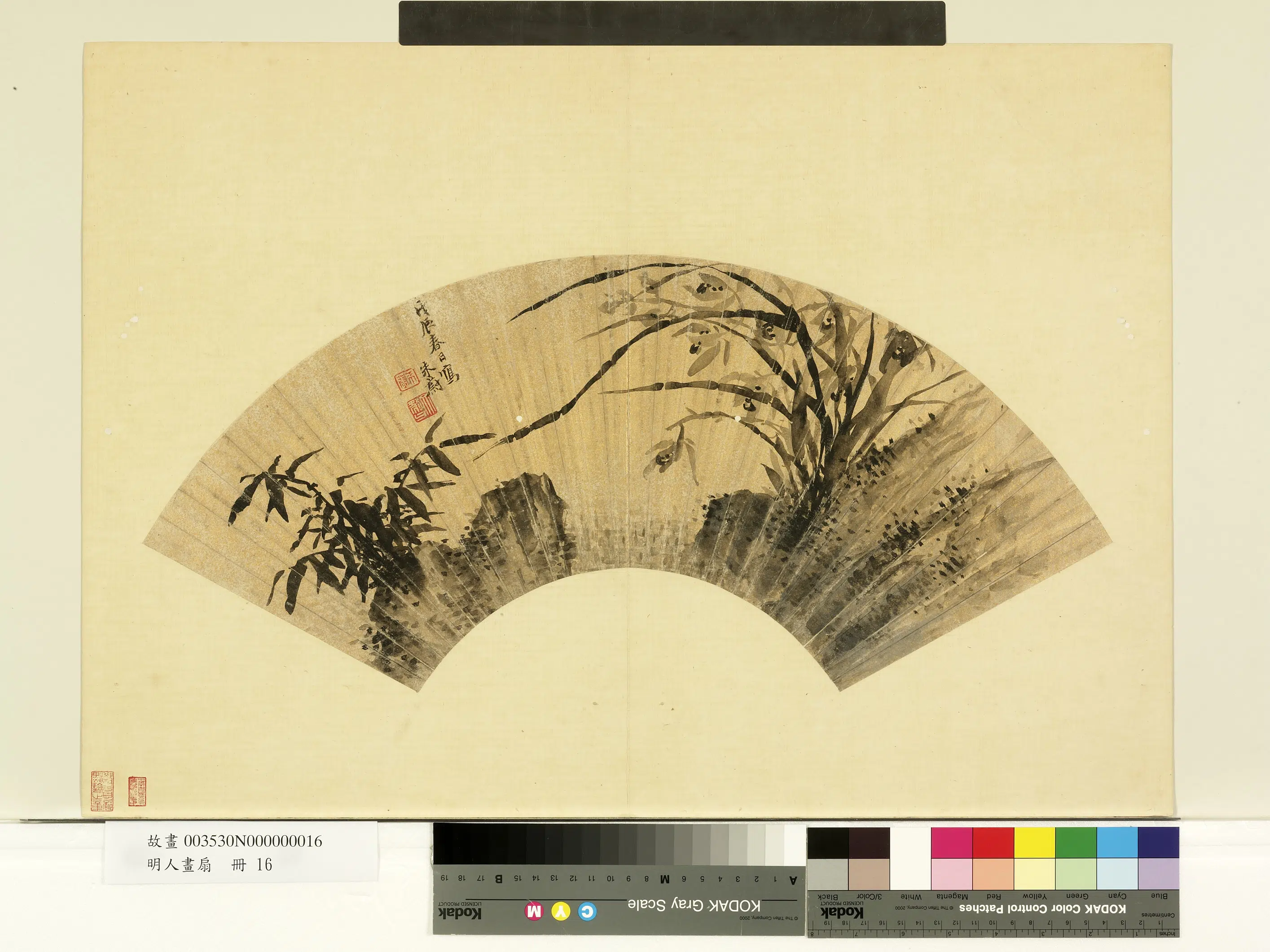 明朝【朱蔚】《明人画扇册-兰竹》 第1张