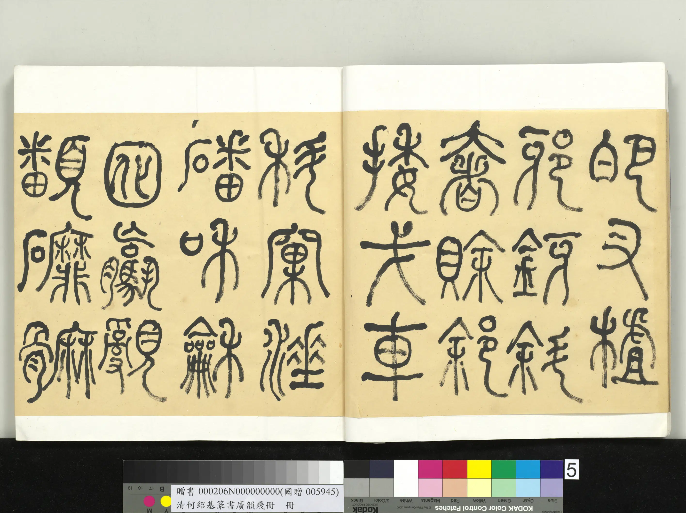 清代【何绍基】《篆书广韵册》 第5张