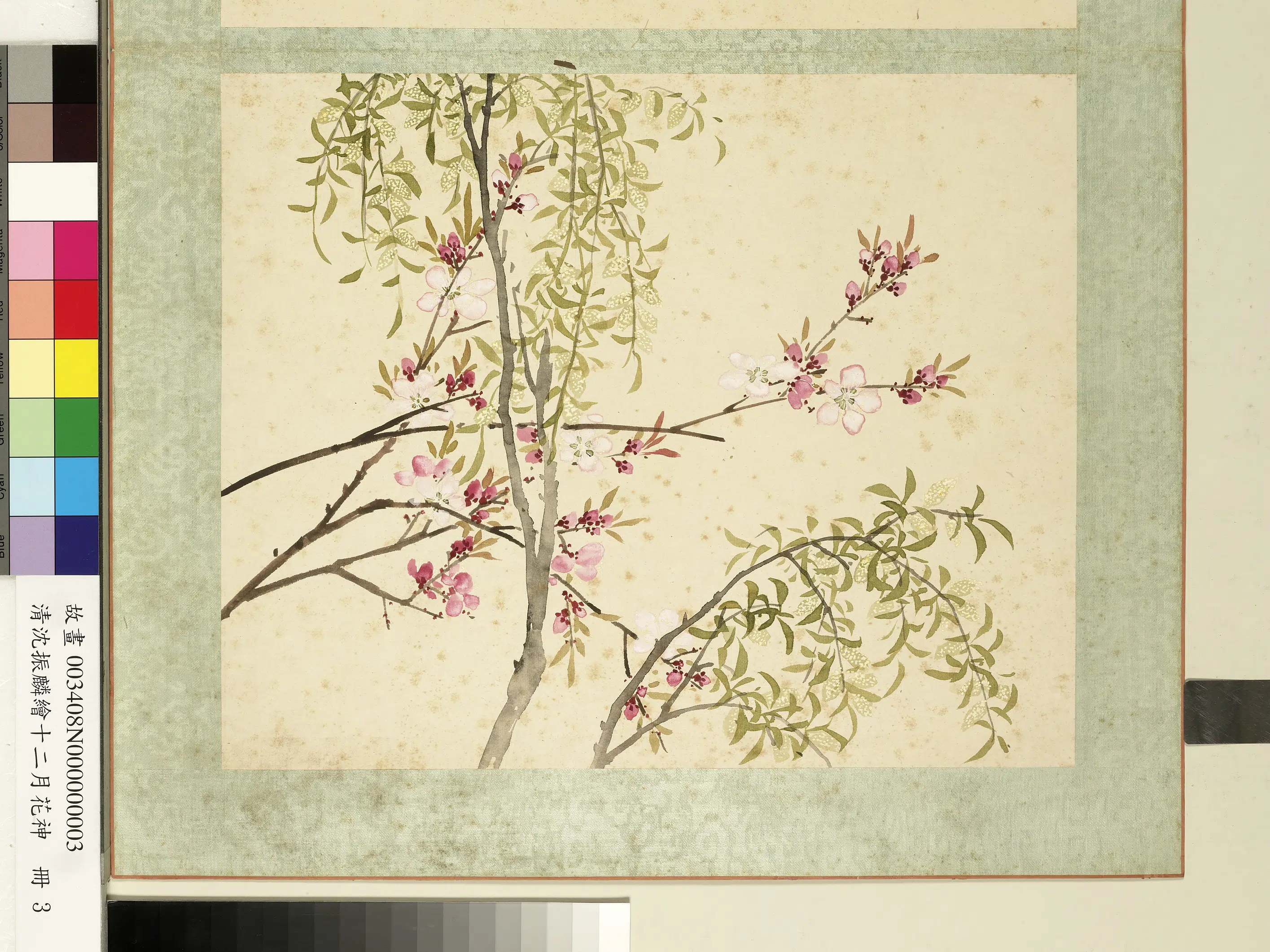 清朝【沈振麟】《绘十二月花神册_杨柳桃花》
