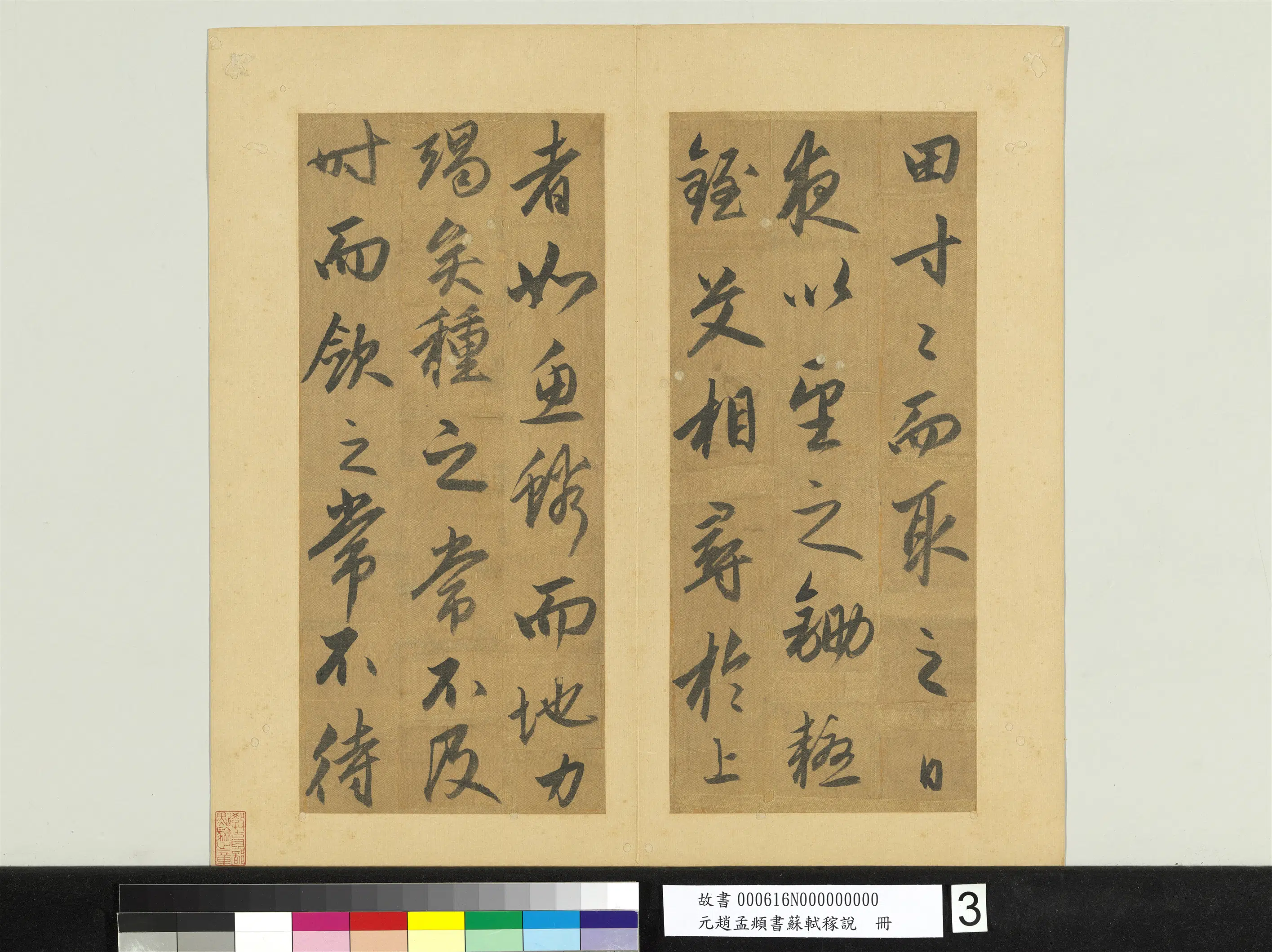 元朝【赵孟頫】《书苏轼稼说册》 第4张