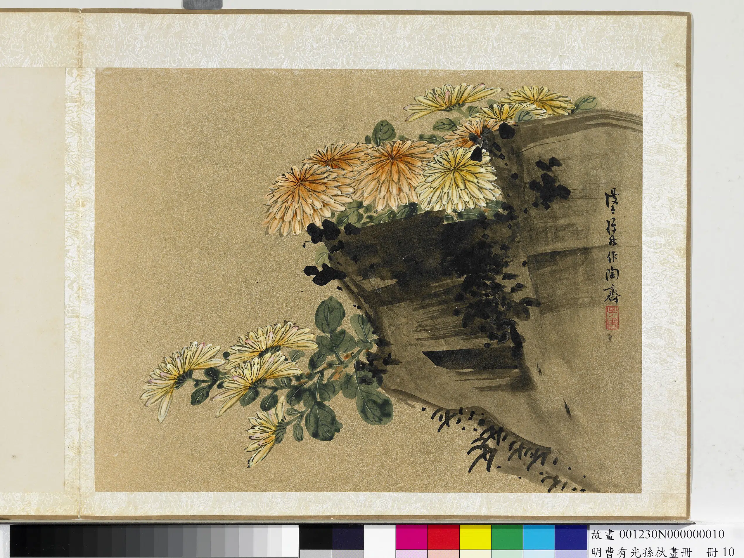 明朝【孙杕】《明曹有光孙杕画册-秋菊图》