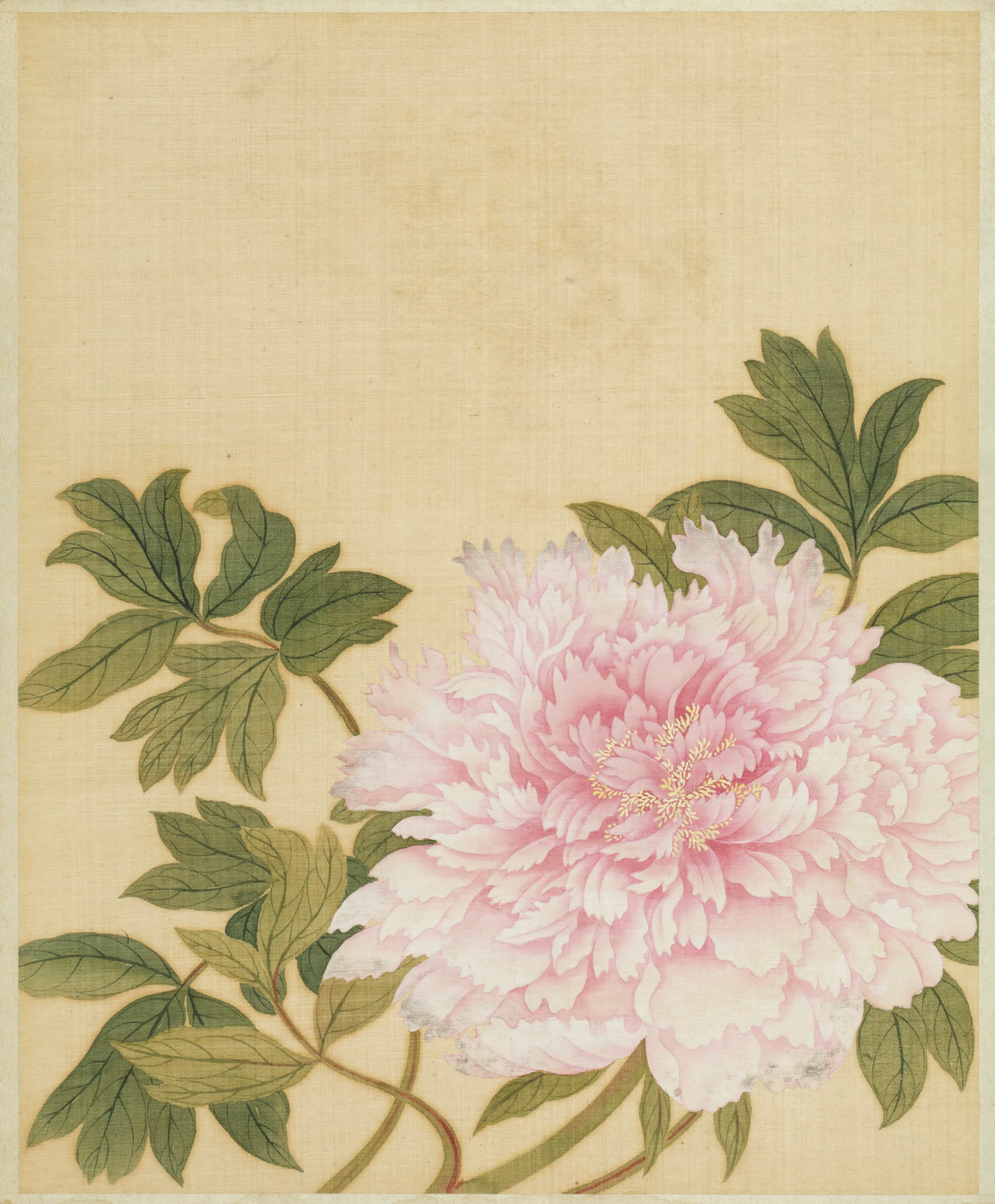 清代【范廷镇】《花卉图册》 第9张