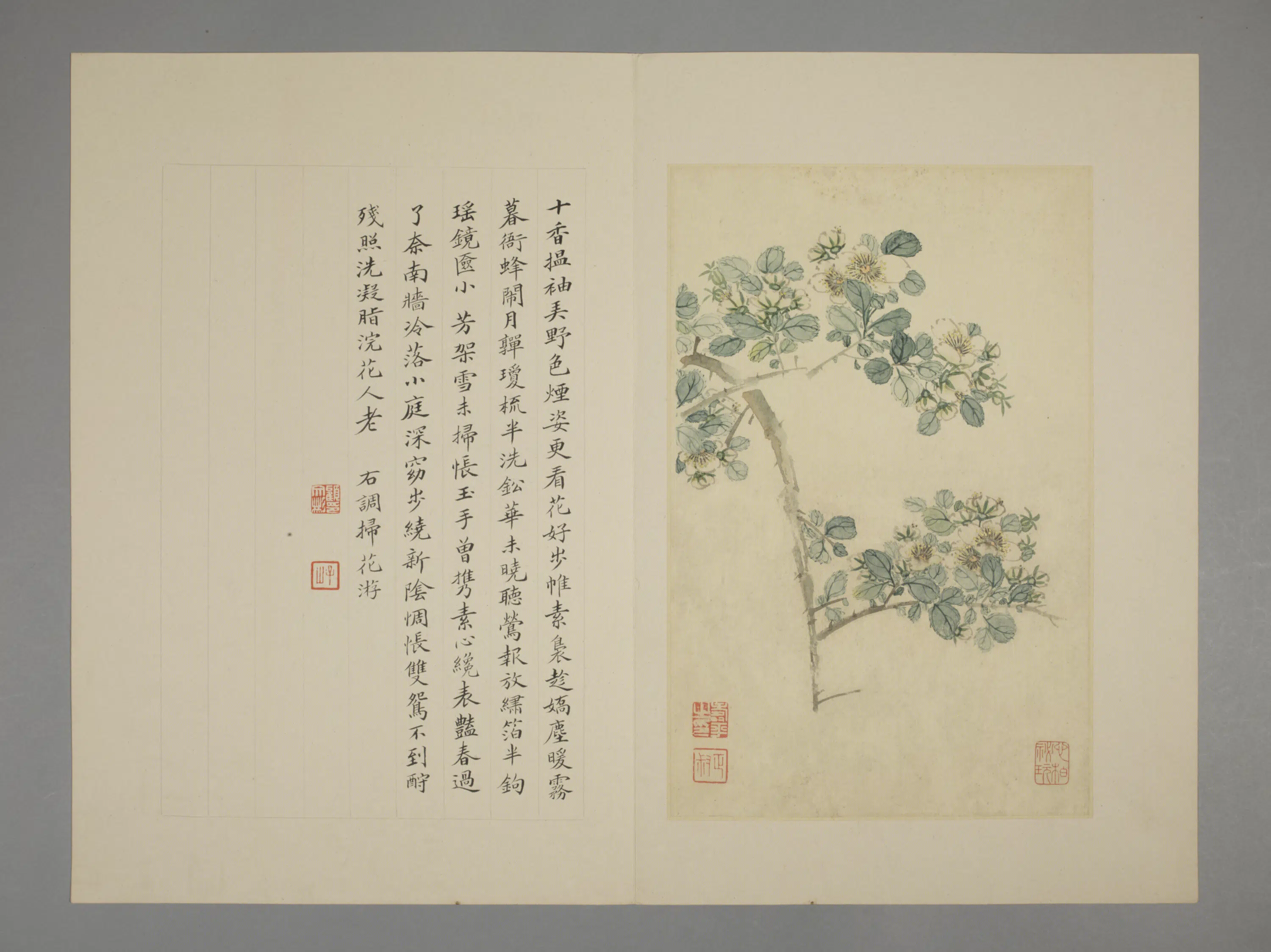 清代【恽寿平】《花卉册（7开）》 第4张