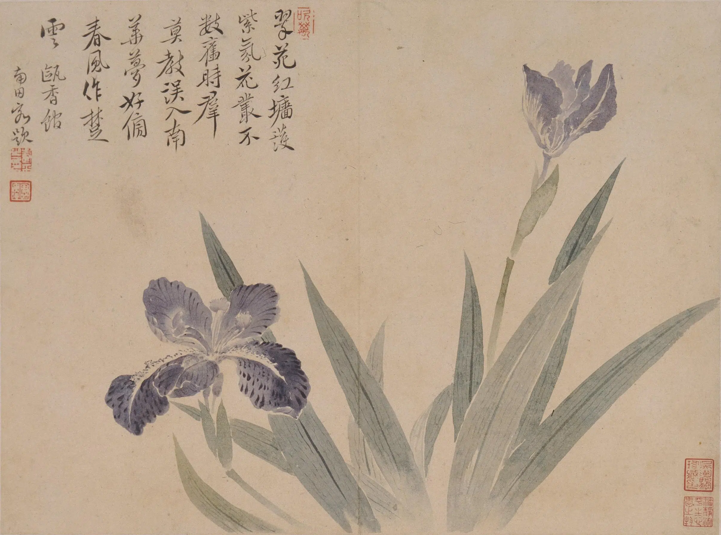 清代【恽寿平】《花卉册》 第2张 清代【恽寿平】《花卉册》 第2张
