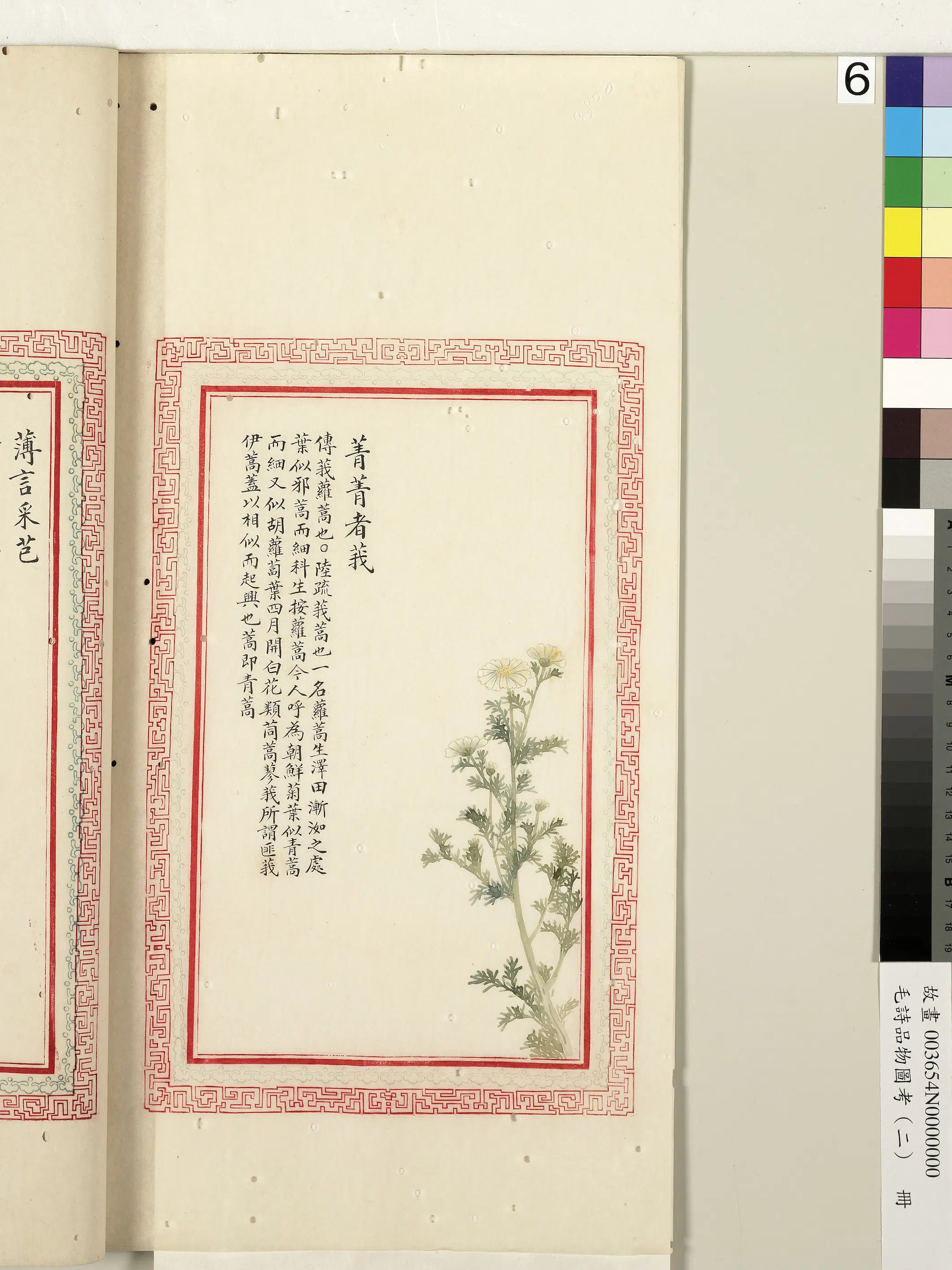 清朝【佚名】《毛诗品物图考（二）册-菁菁者莪-1》