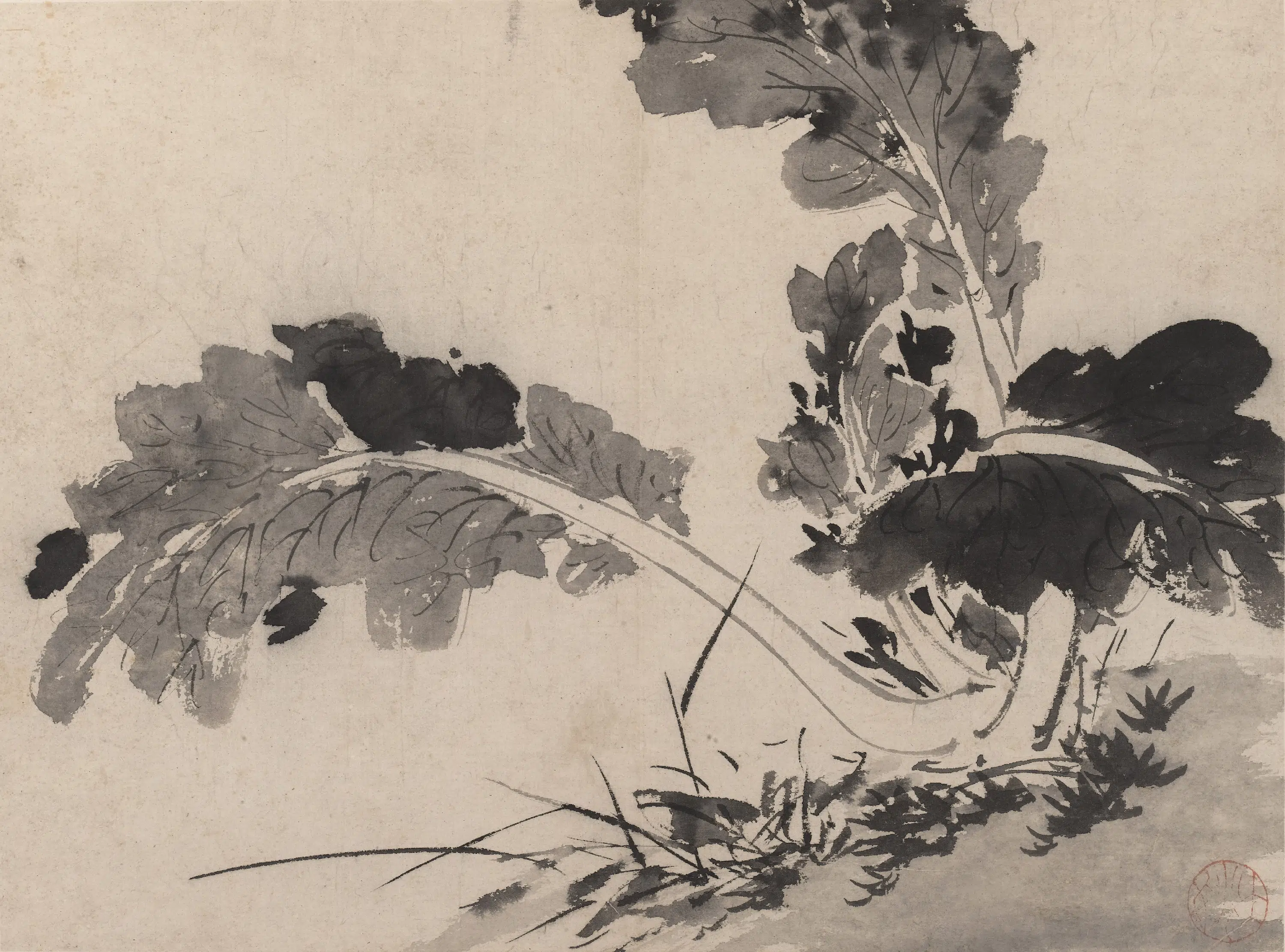 明朝【陈淳（道复）】《墨花图册》 第4张