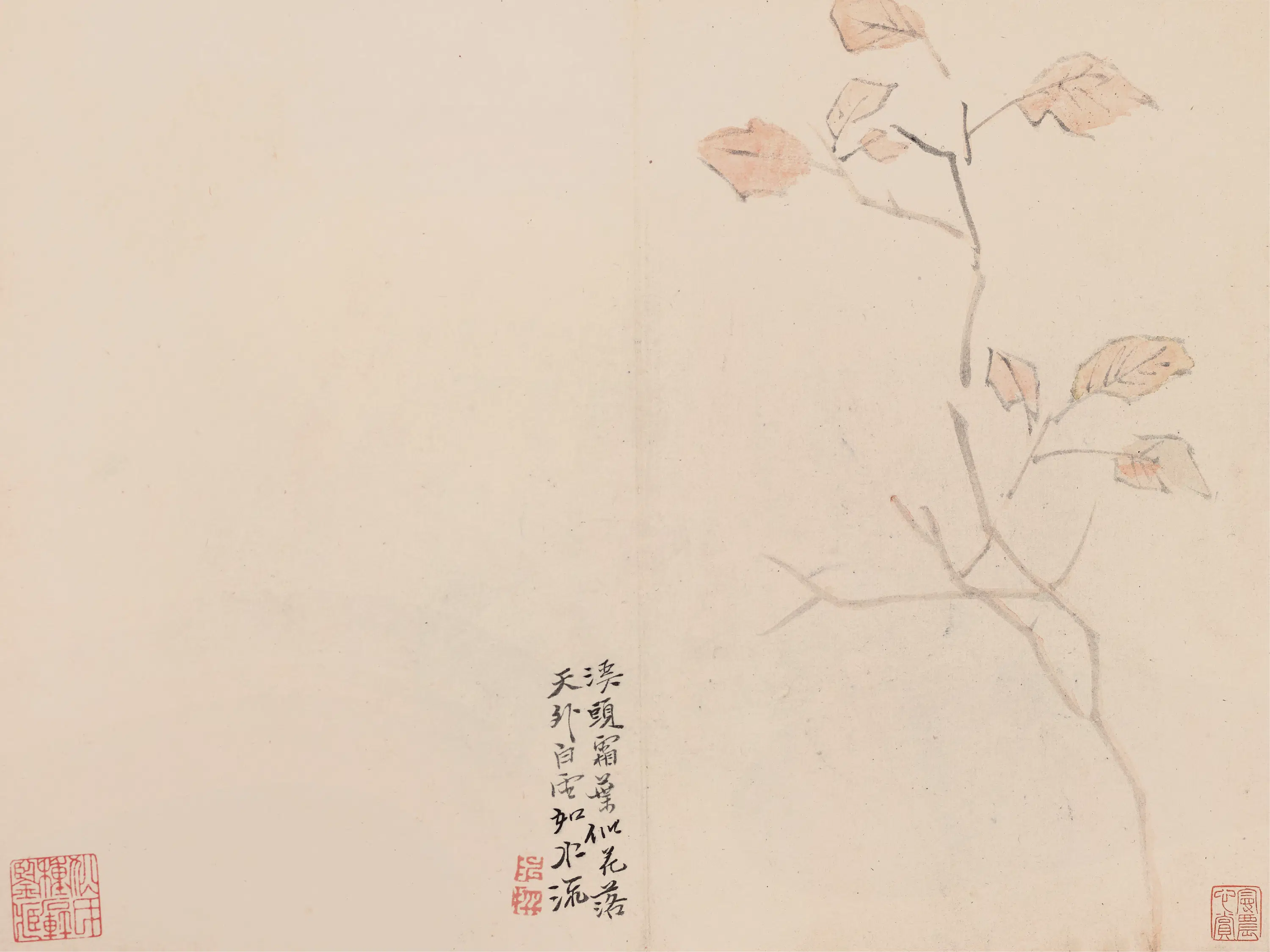 清代【陈撰】《花卉图册-3》 第11张