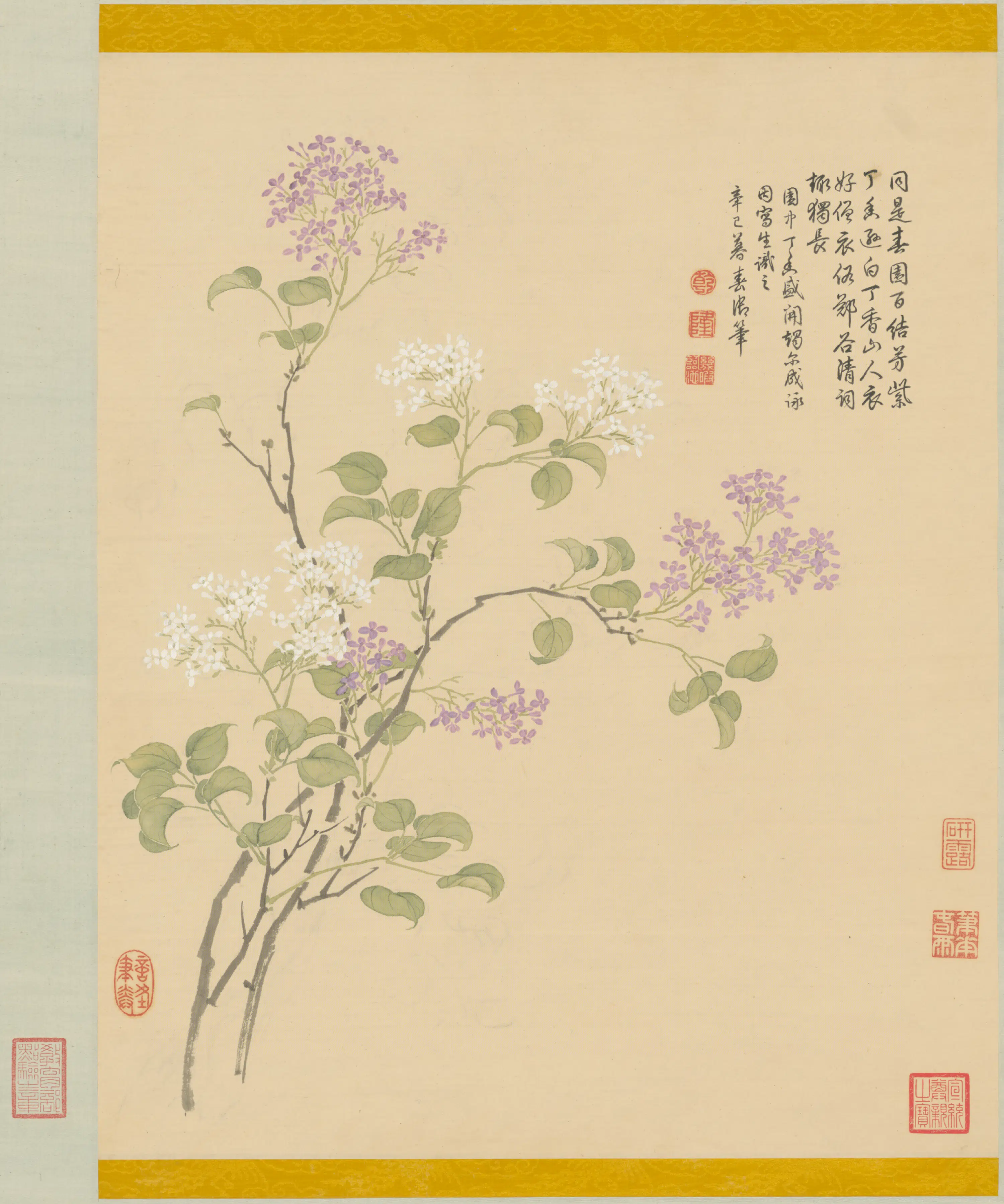 清代【爱新觉罗弘历-乾隆-清高宗】《紫白丁香轴》