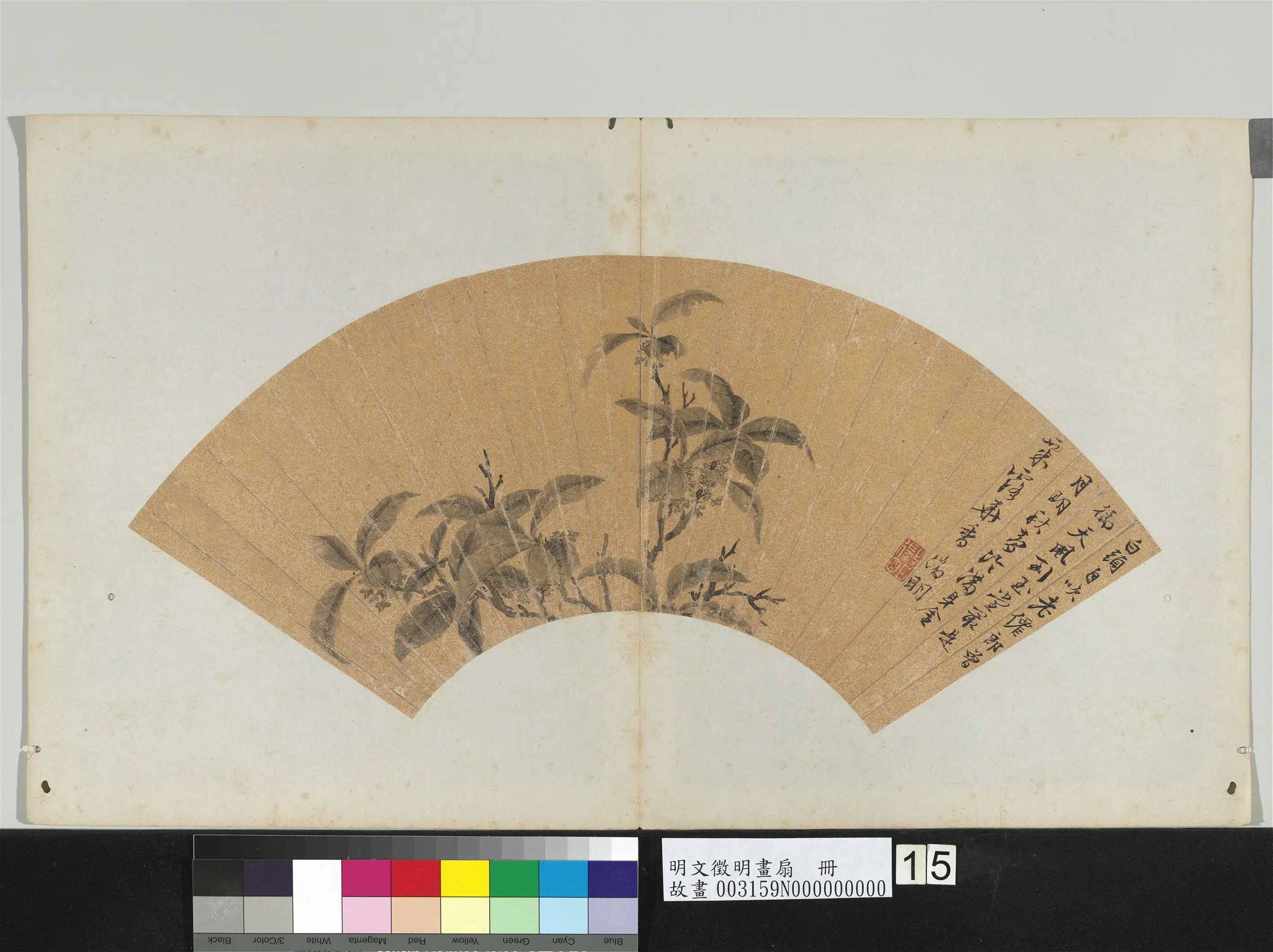 明朝【文征明徵明】《画扇册》 第8张 明朝【文征明徵明】《画扇册》 第8张