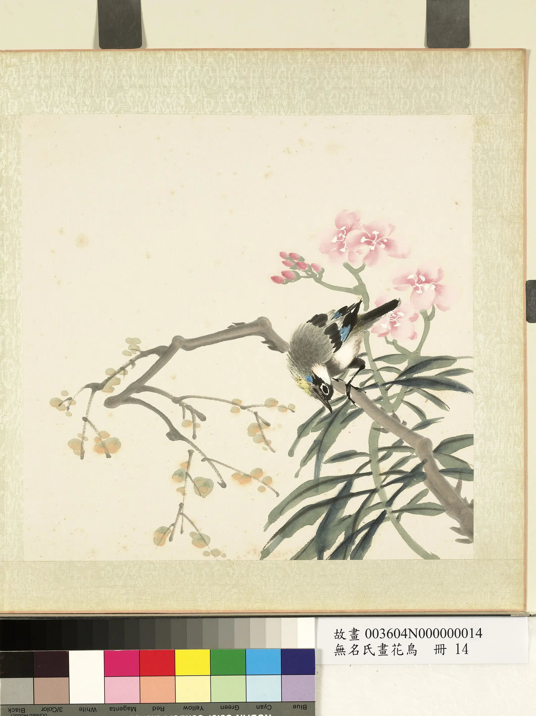 《无名氏画花鸟册》 第5张 《无名氏画花鸟册》 第5张