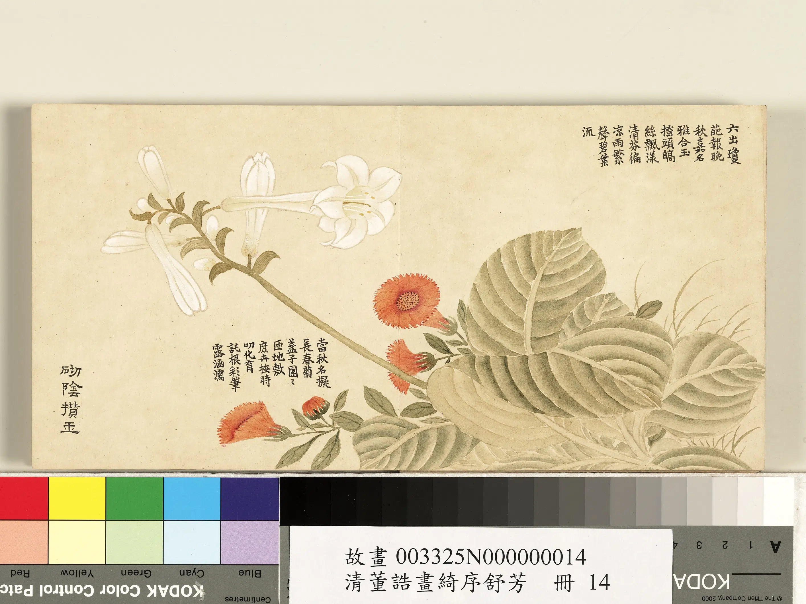 清代【董诰】《绮序舒芳册图-24开》 第15张