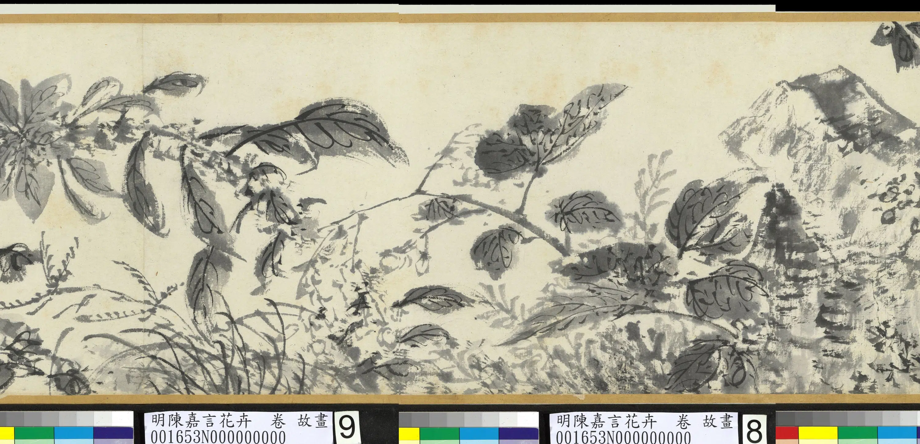 明朝【陈嘉言】《花卉图卷》 第2张 明朝【陈嘉言】《花卉图卷》 第2张