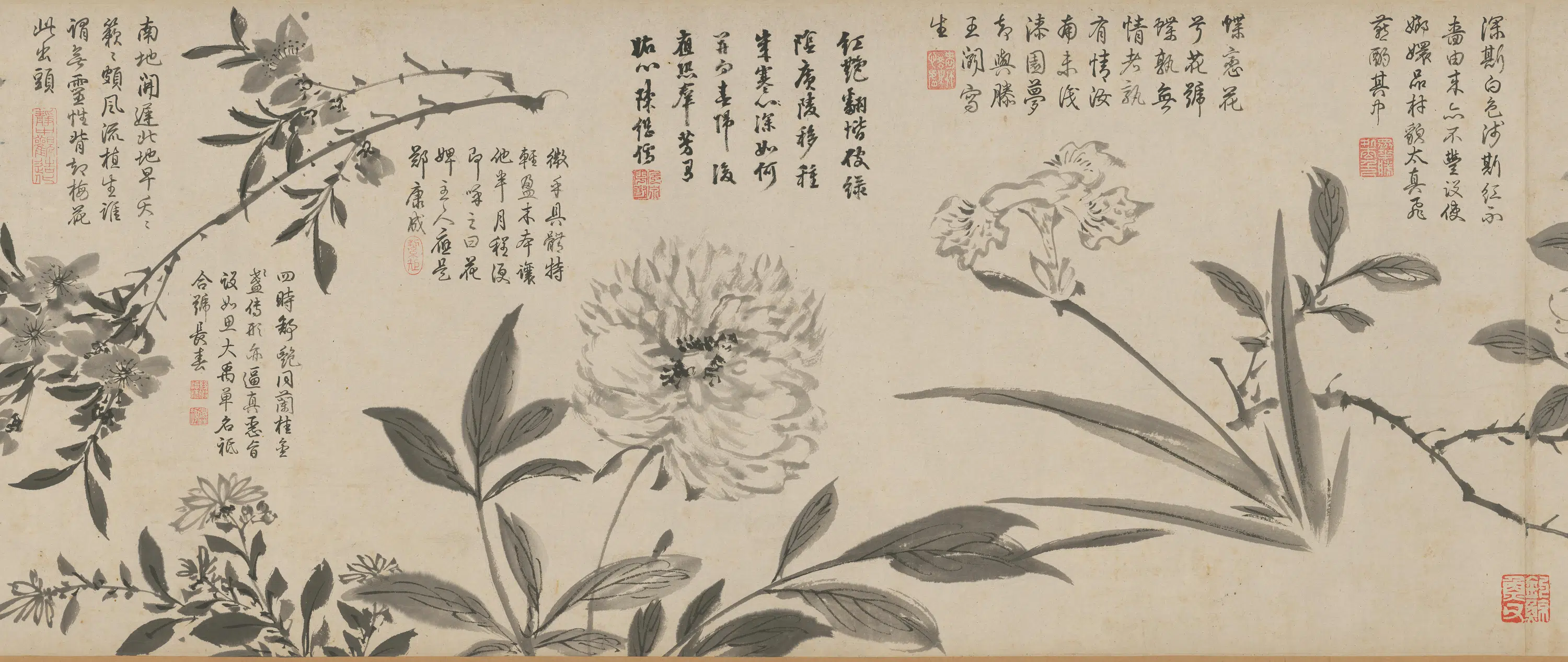 明朝【周之冕】《百花图卷》 第23张 明朝【周之冕】《百花图卷》 第23张
