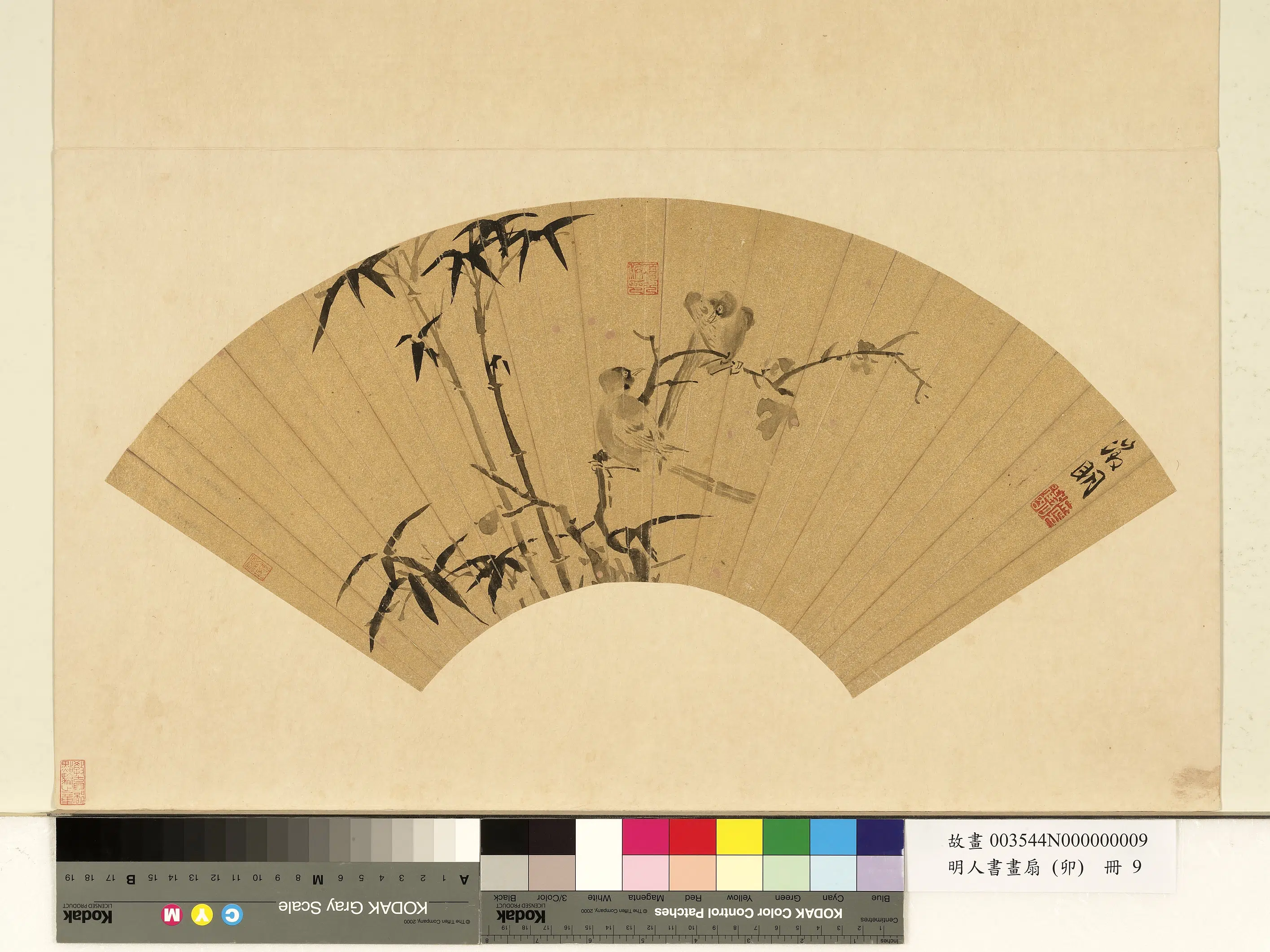 明朝【文征明徵明】《明人书画扇（卯）册-墨画山鸟墨竹》