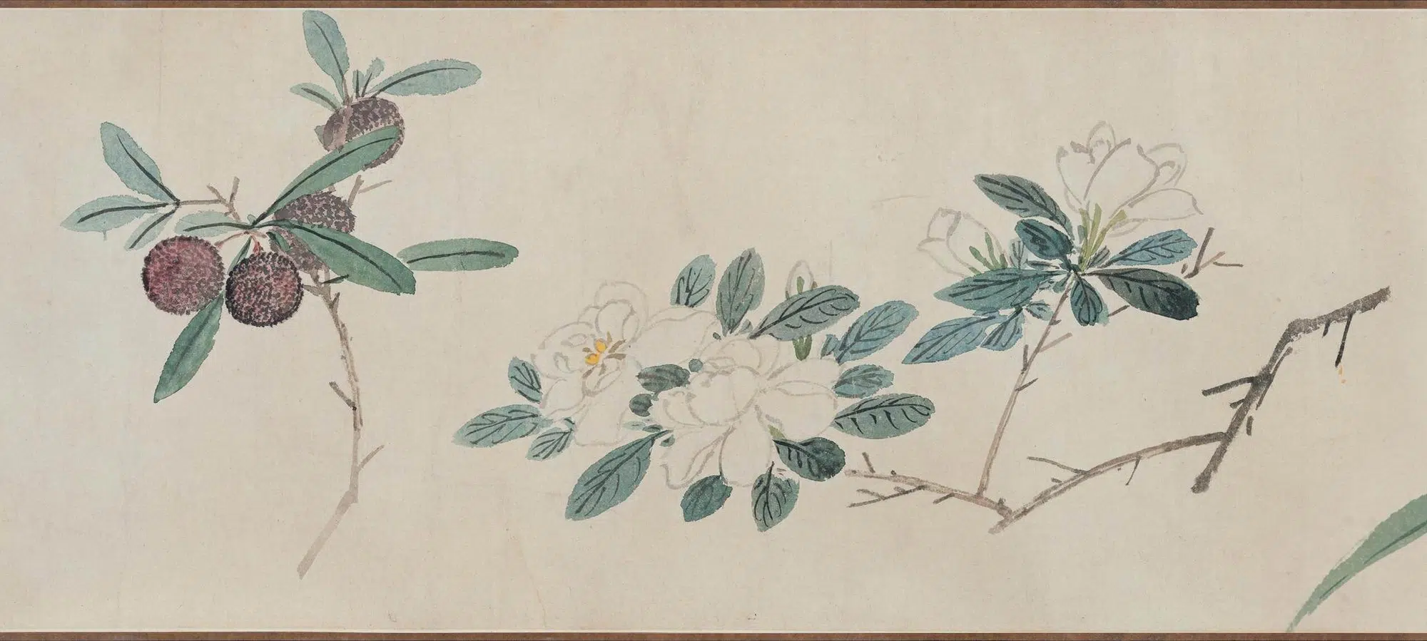 明朝【孙克弘】《花卉图卷》 第6张 明朝【孙克弘】《花卉图卷》 第6张