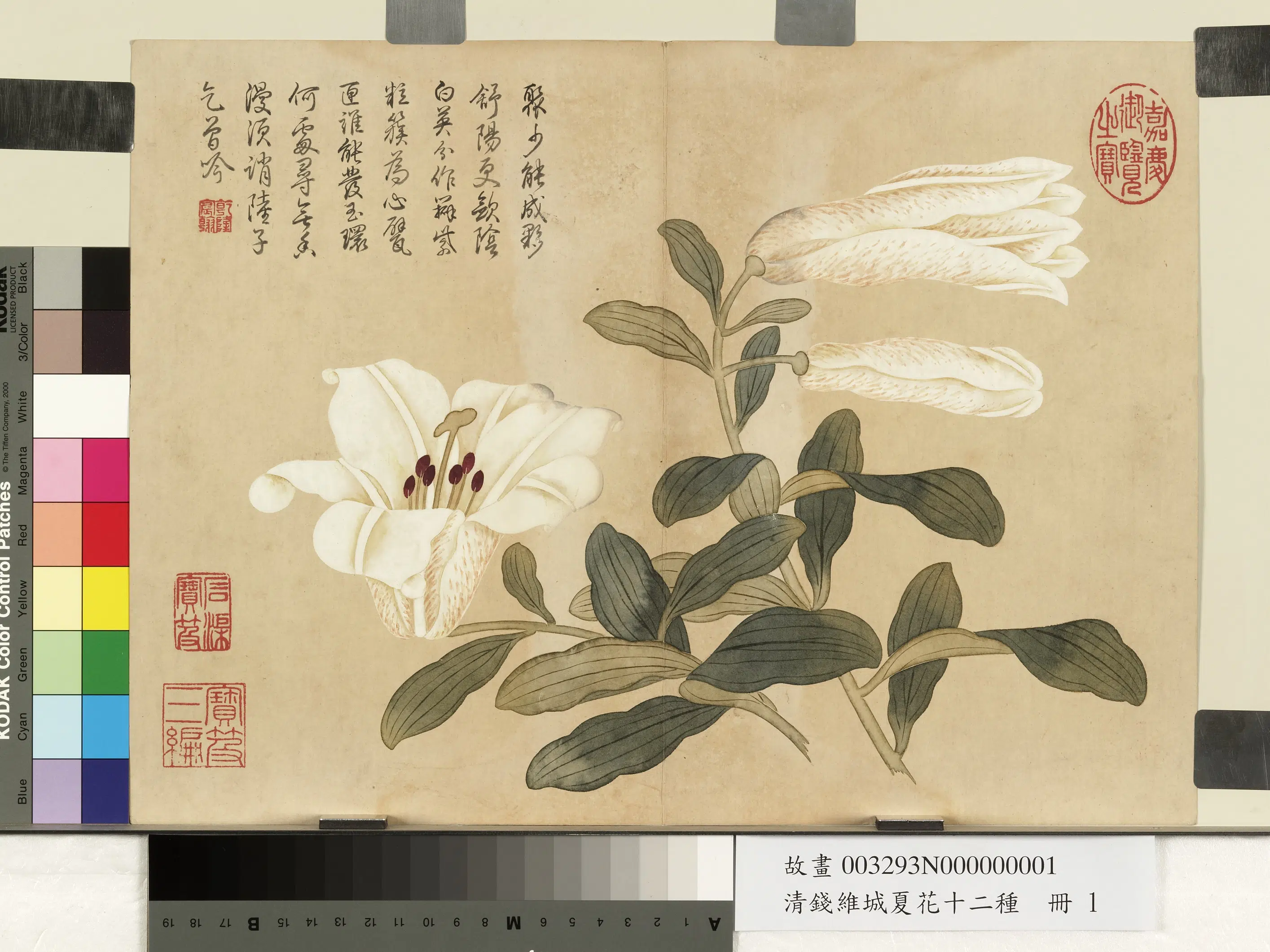 清代【钱维城】《夏华十二种册》 第3张 清代【钱维城】《夏华十二种册》 第3张