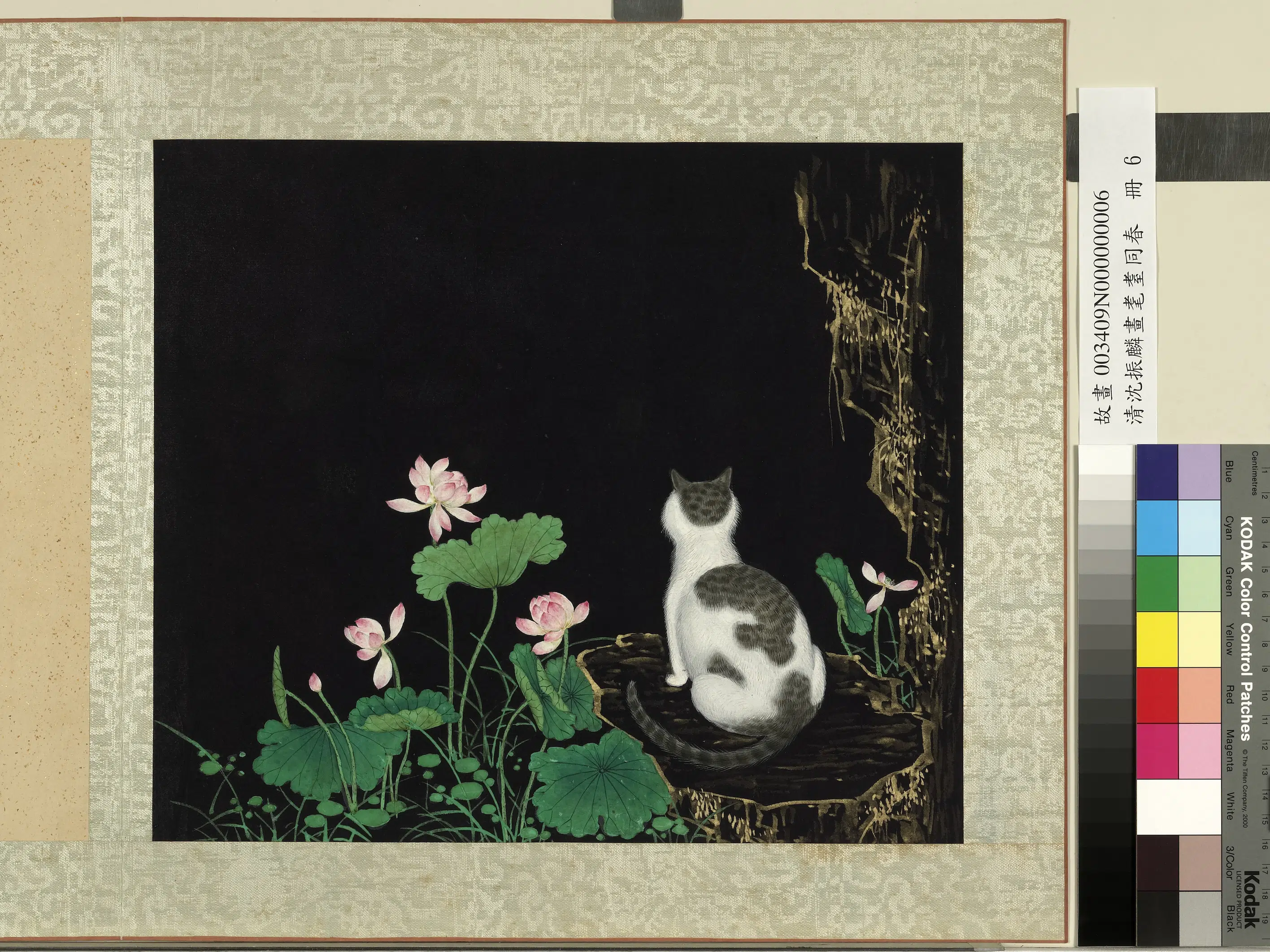 清朝【沈振麟】《画耄耋同春册-2》 第9张 清朝【沈振麟】《画耄耋同春册-2》 第9张
