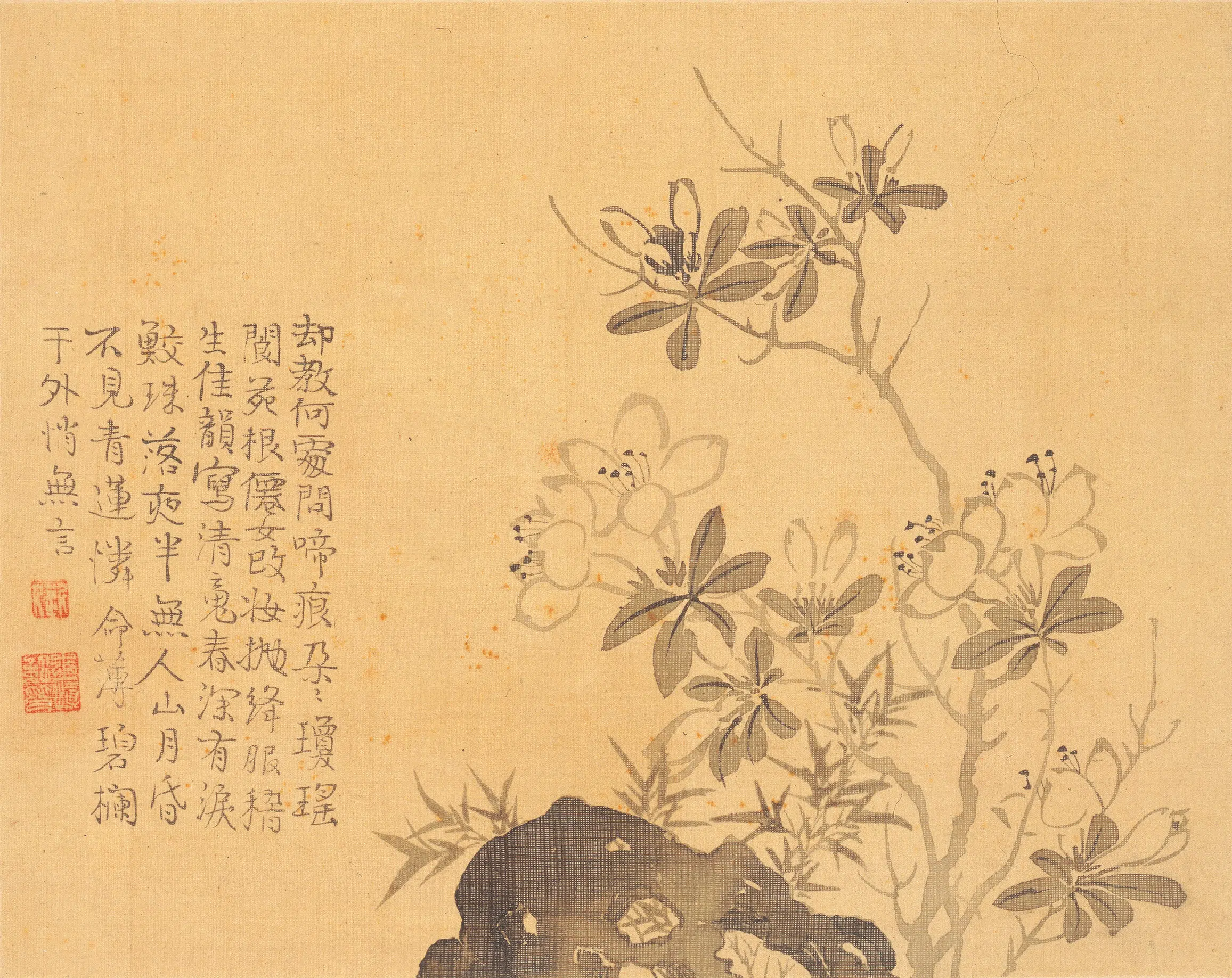 清代【汪士慎】《花卉册》