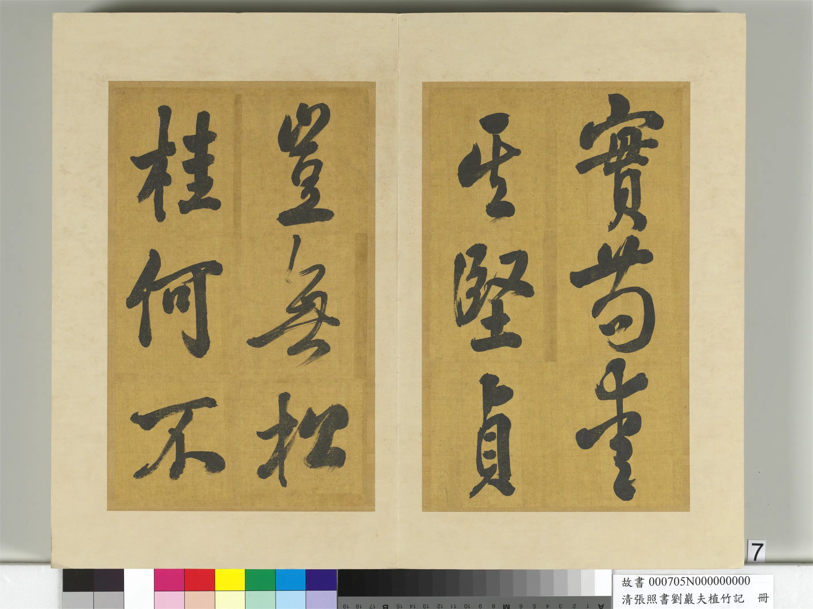 清代【张照】《书刘岩夫植竹记册》 第27张