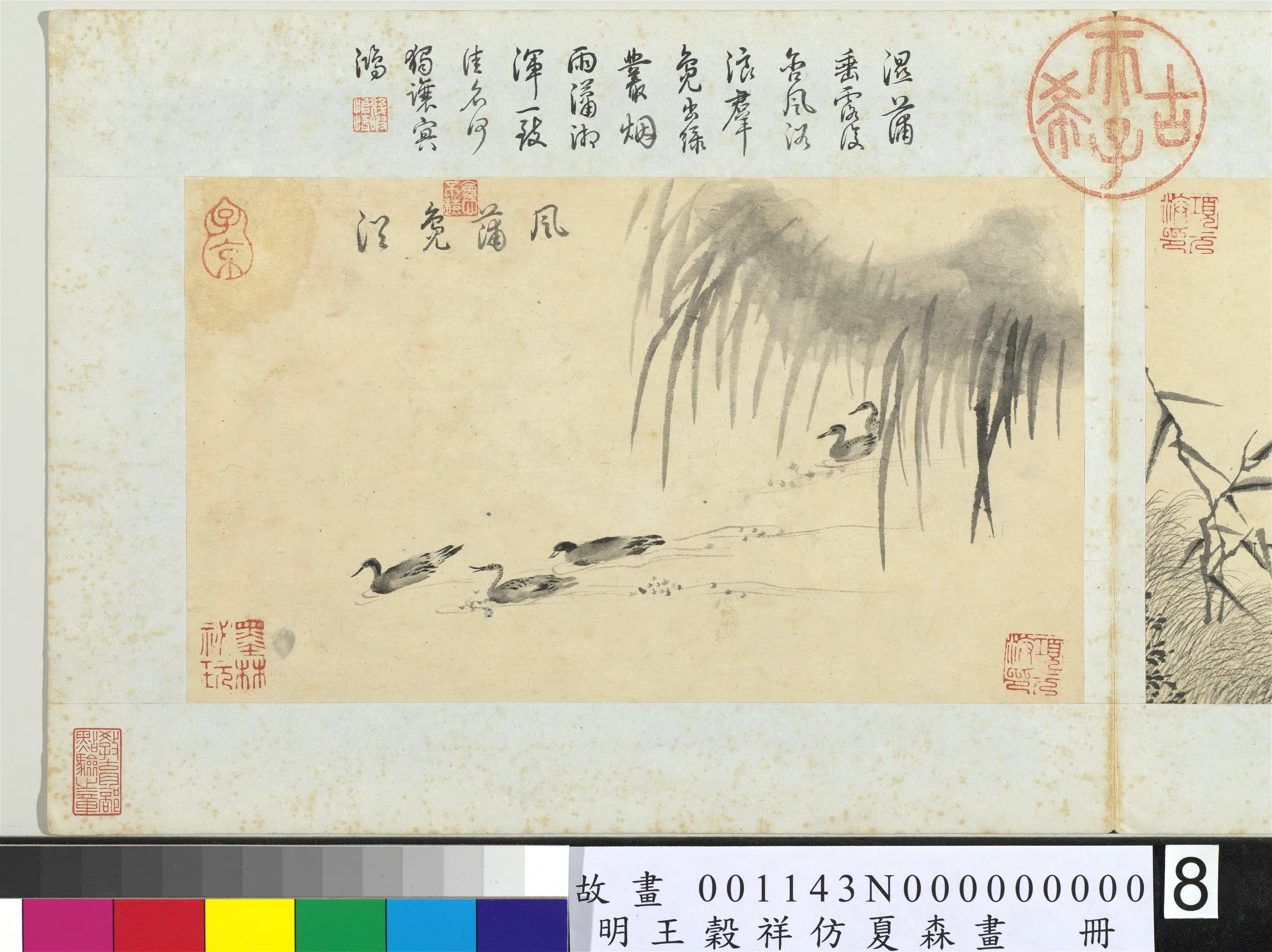 明朝【王谷祥（王穀祥）】《仿夏森画册-风蒲凫浴》