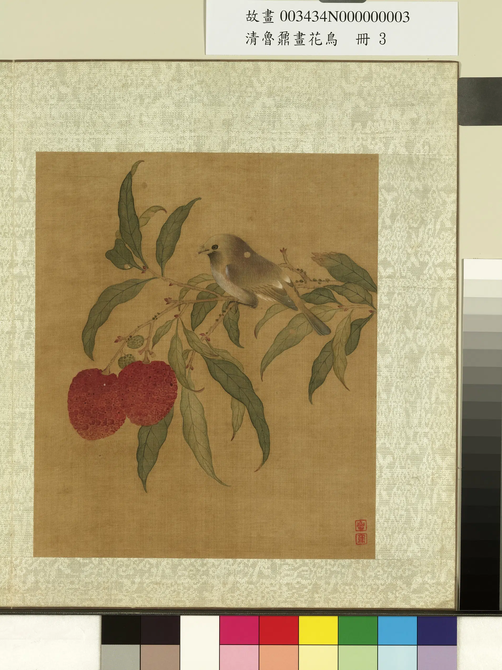 清代【鲁鼐】《画花鸟册-荔枝翎毛》