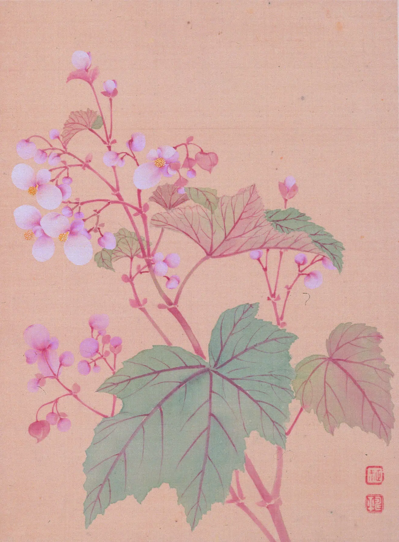 清代【恽寿平】《花卉图册》 第6张 清代【恽寿平】《花卉图册》 第6张