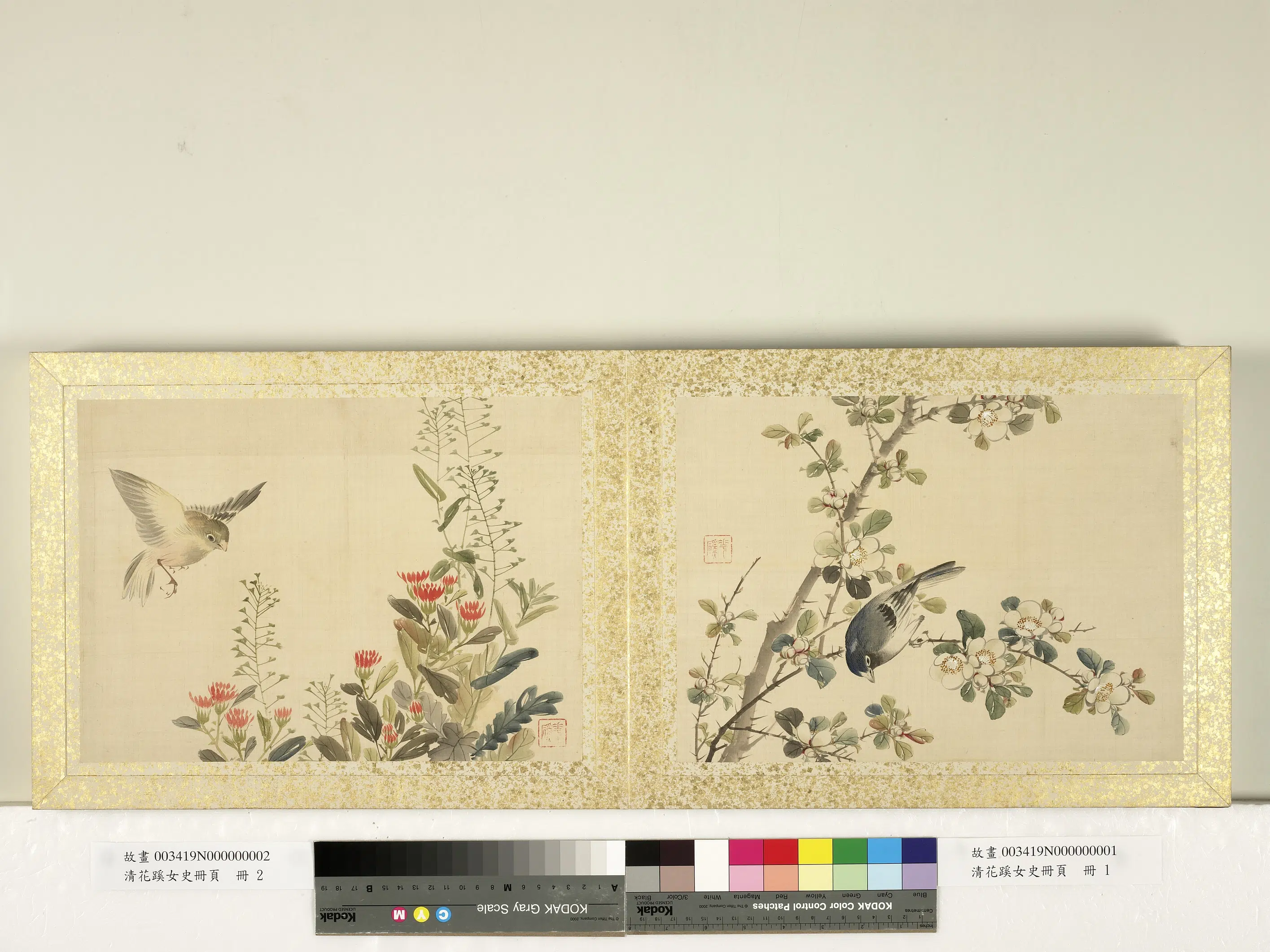 清代【迹见泷-花蹊女史】《花蹊女史册页册》 第4张