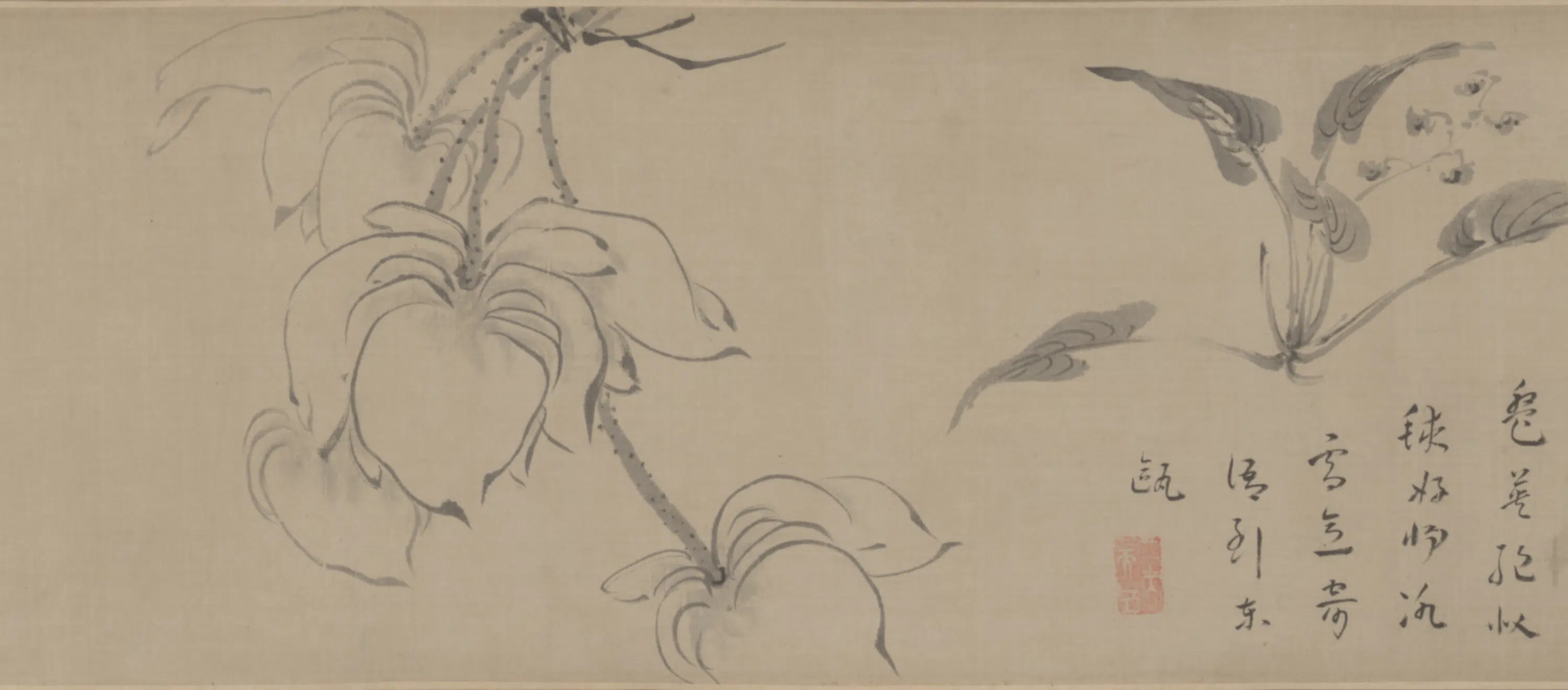清代【朱耷】《花卉图卷》 第4张