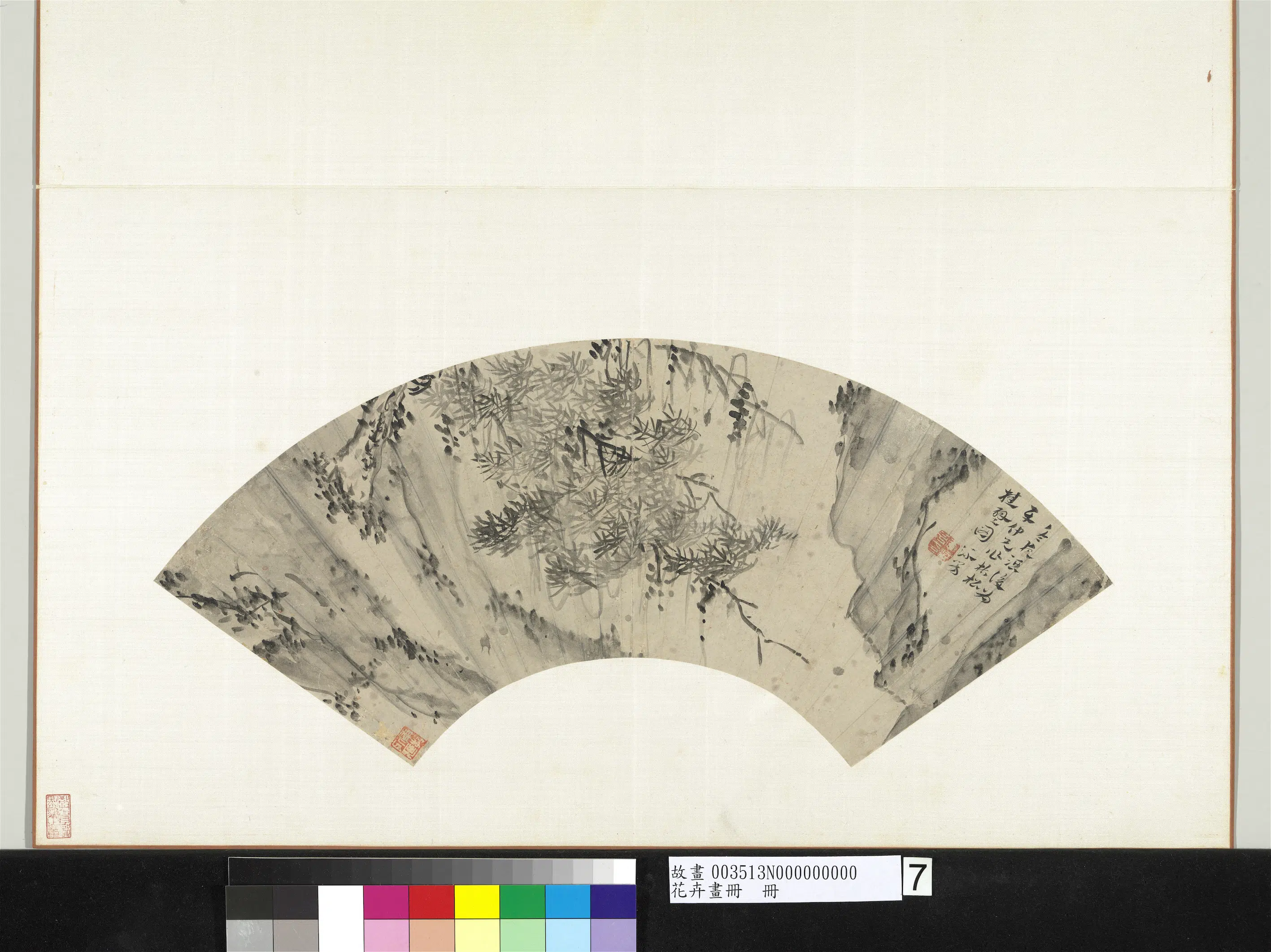 《花卉画册-1》 第5张