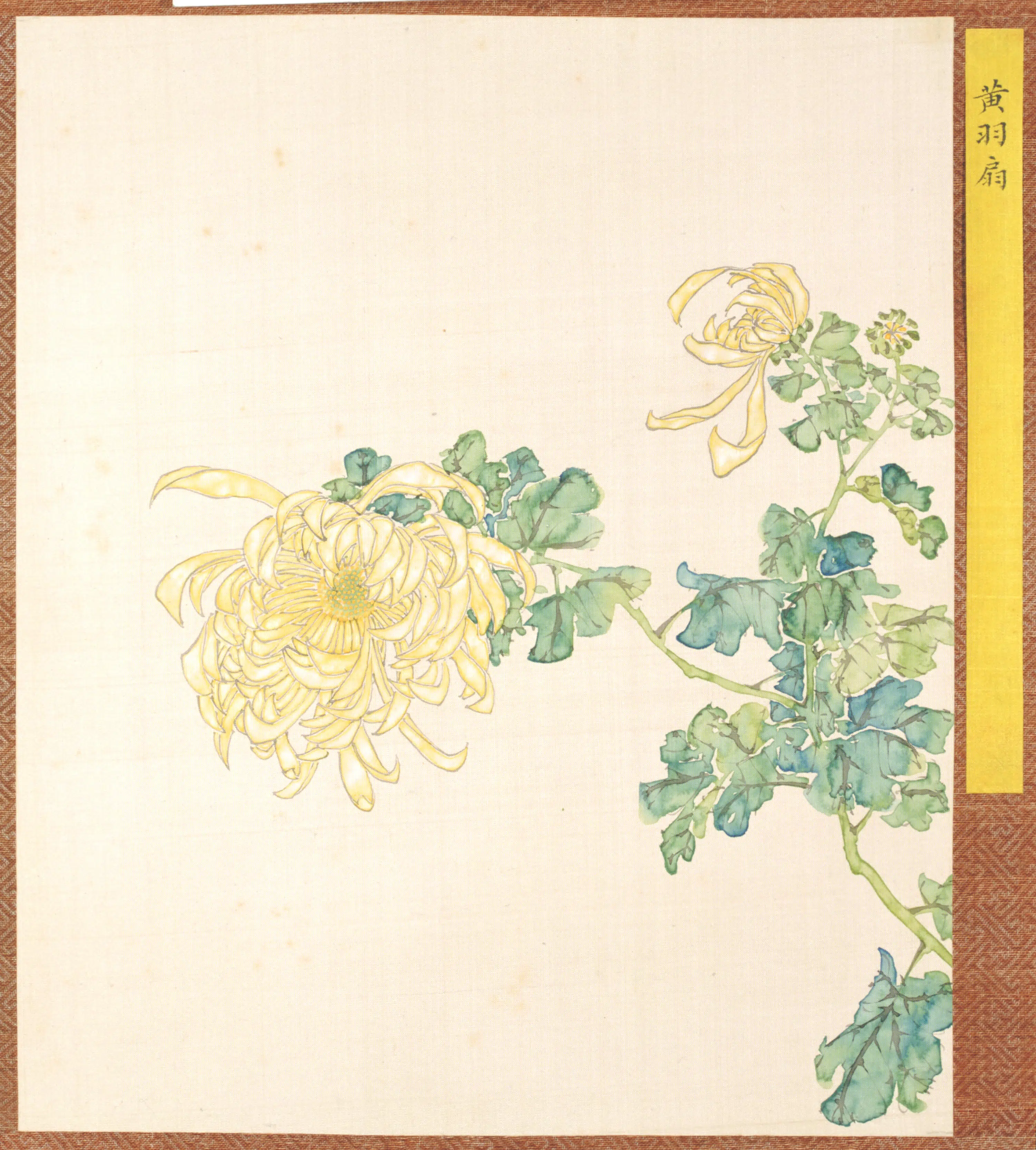 清代【清人】《菊谱册-5》 第1张