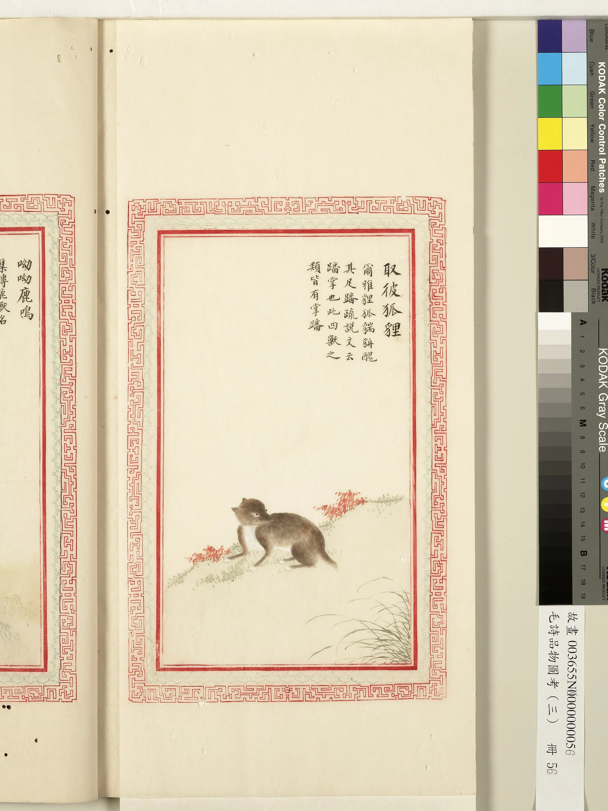 清代《毛诗品物图考(三)册-1》 第10张 清代《毛诗品物图考(三)册-1》 第10张