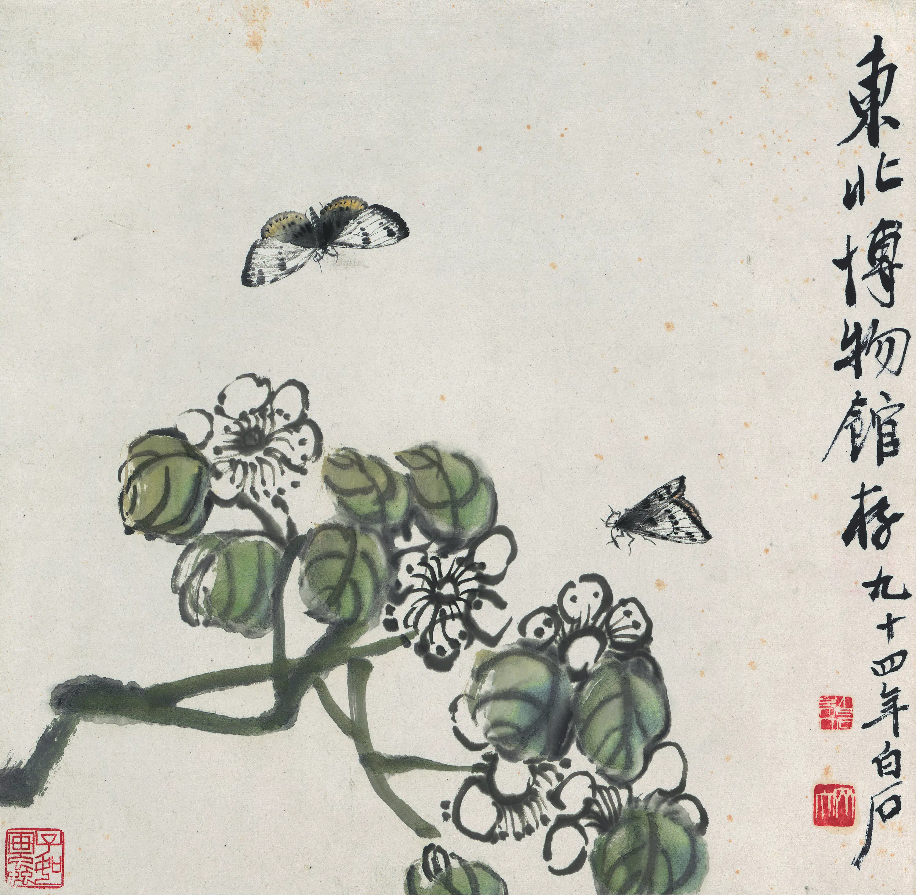 近现代【齐白石】《花果草虫册-蝴蝶双飞图》 第1张
