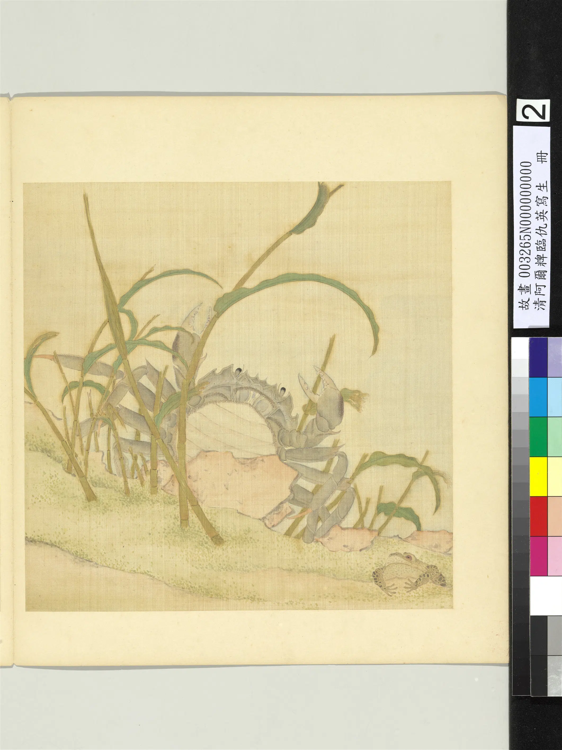 清代【舒穆禄阿尔粺】《临仇英写生册-蟹蛙》