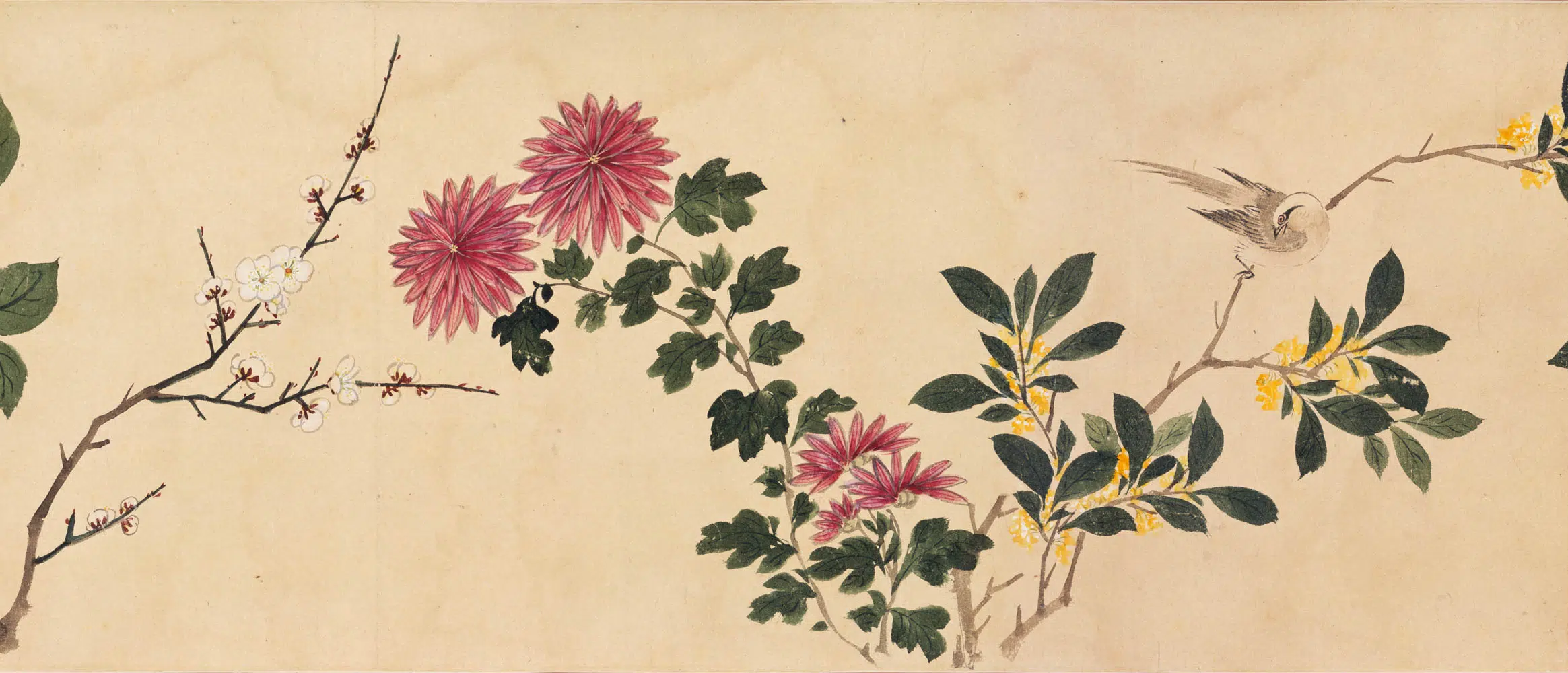 明朝【周之冕】《设色花鸟卷》 第2张