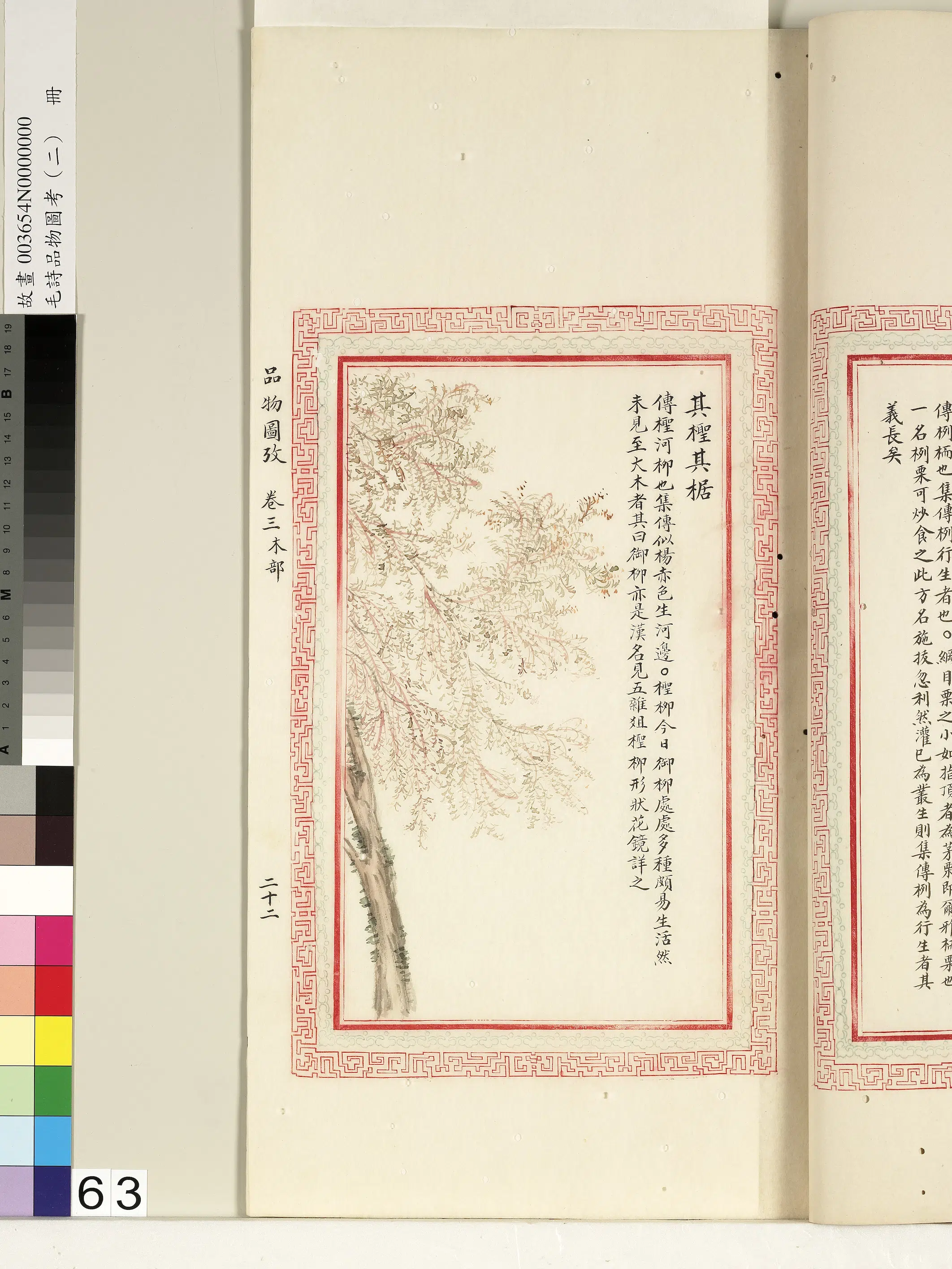 清朝【佚名】《毛诗品物图考（二）册-其柽其椐-1》