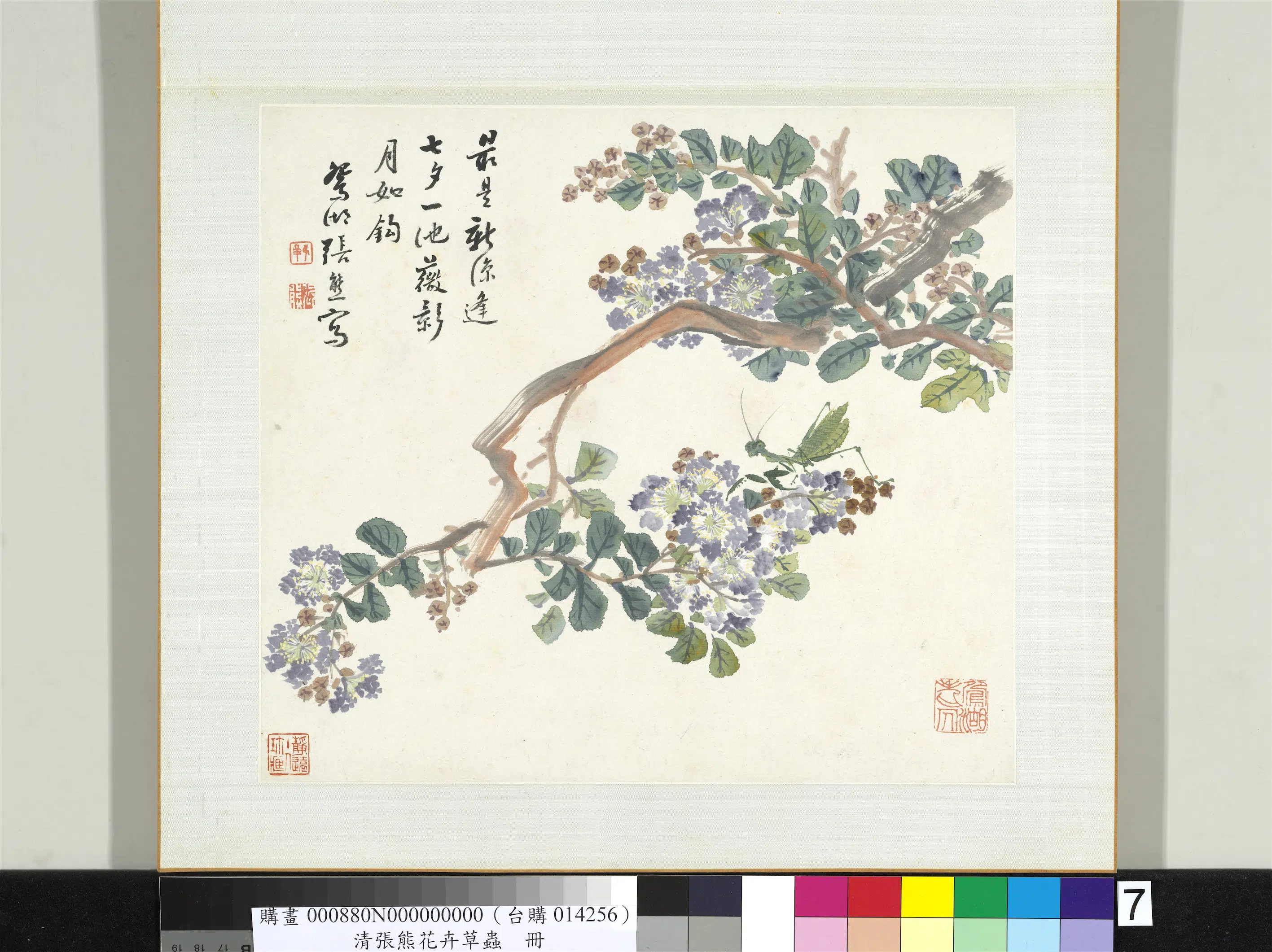 清代【张熊】《花卉草虫册-（七）》
