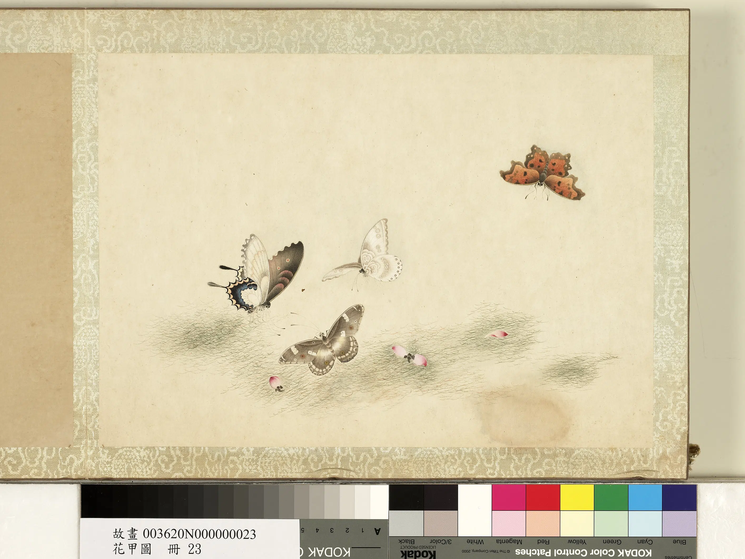 《花甲图册》 第21张 《花甲图册》 第21张