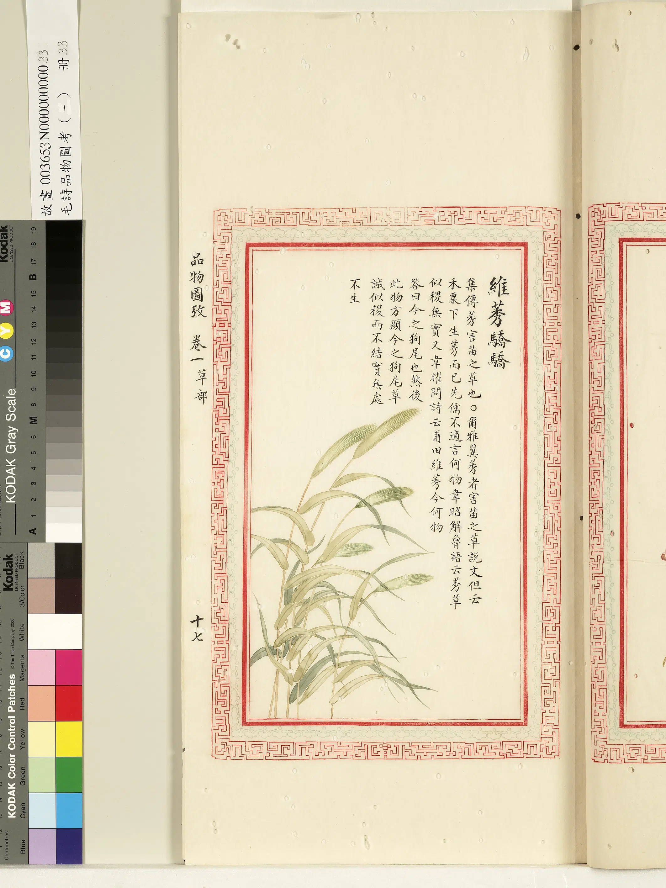 清代《毛诗品物图考(一)册-1》 第37张 清代《毛诗品物图考(一)册-1》 第37张